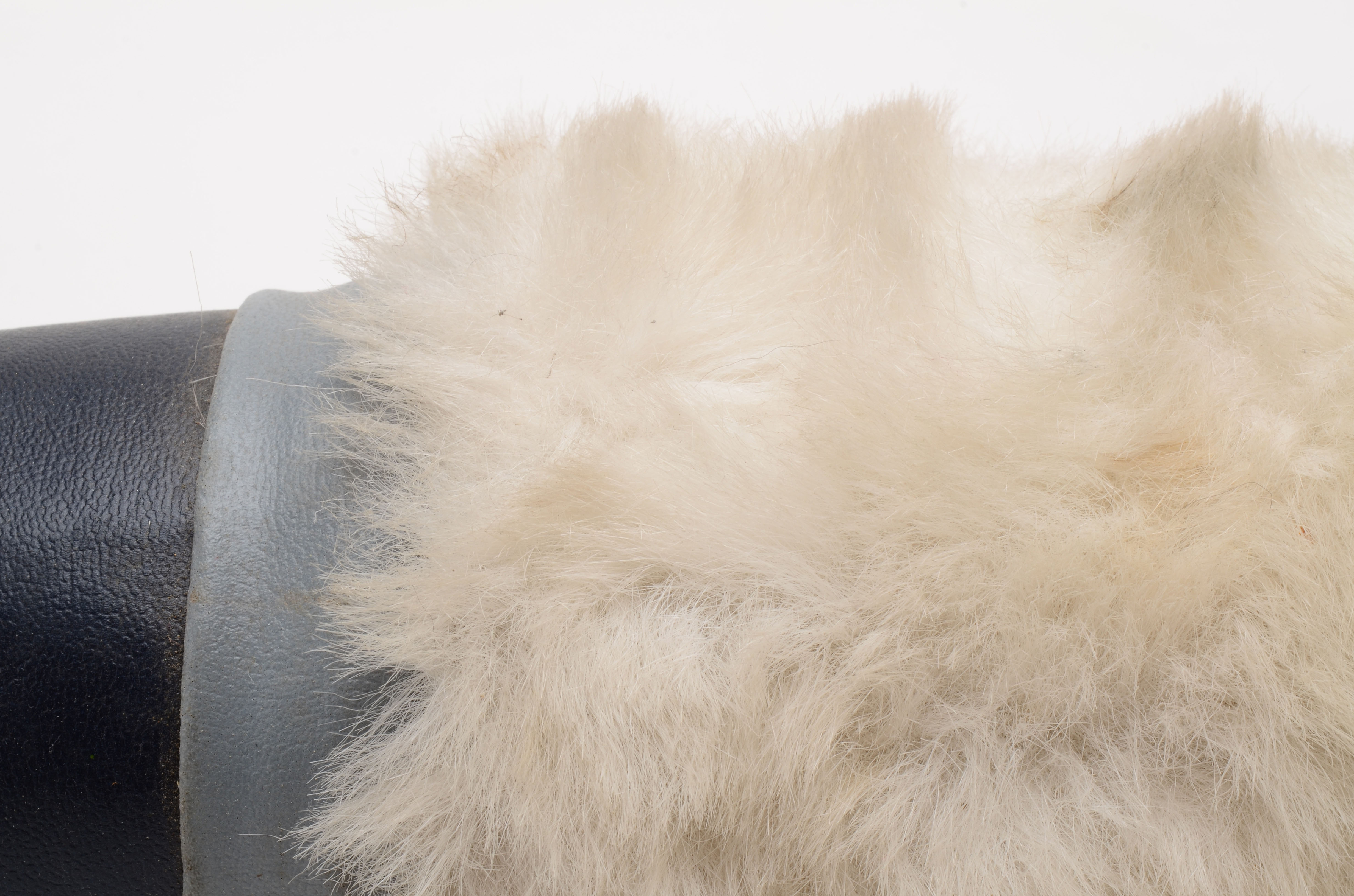 Mounted Polished Buffalo Horns