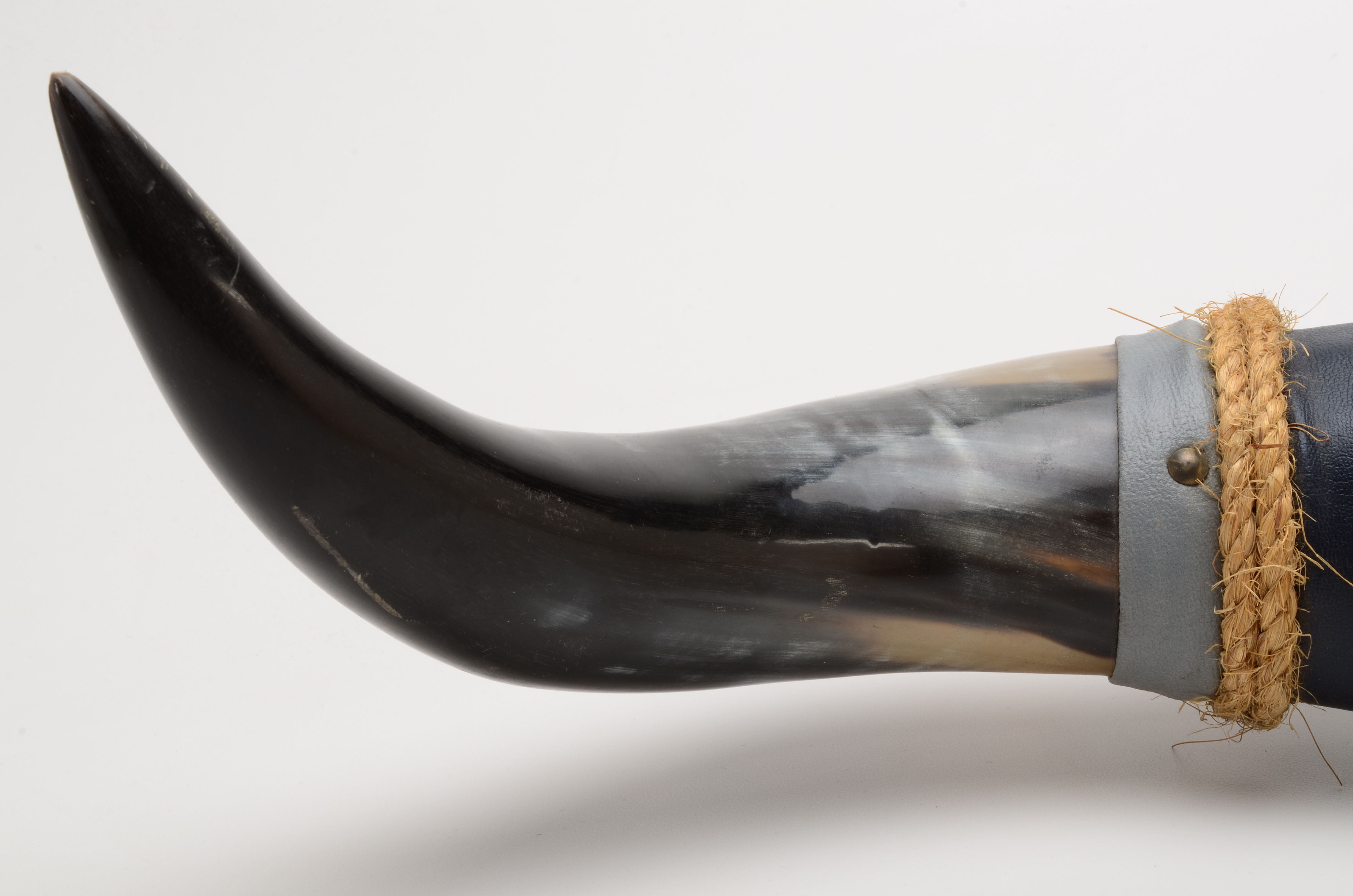 Mounted Polished Buffalo Horns