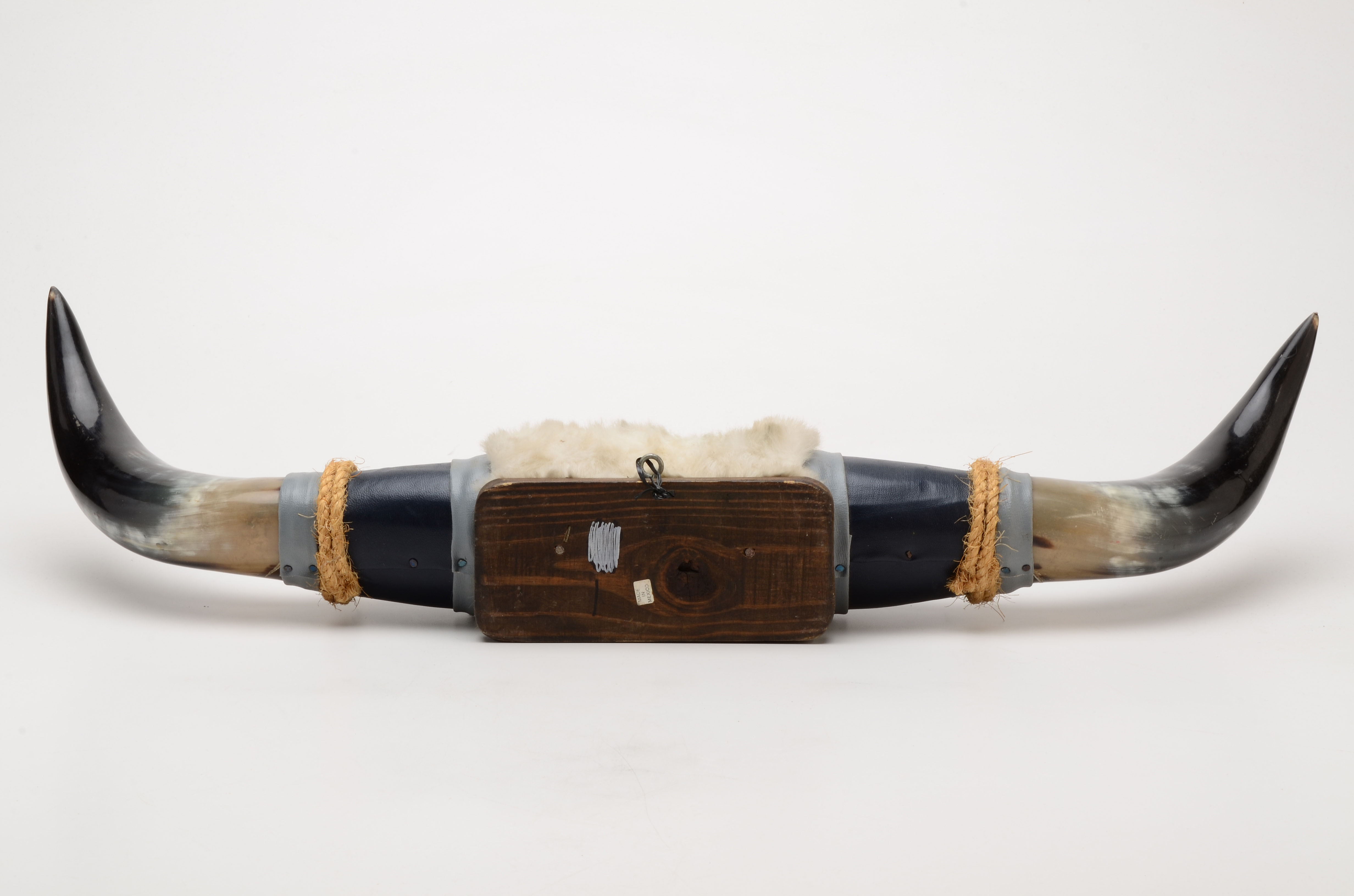 Mounted Polished Buffalo Horns