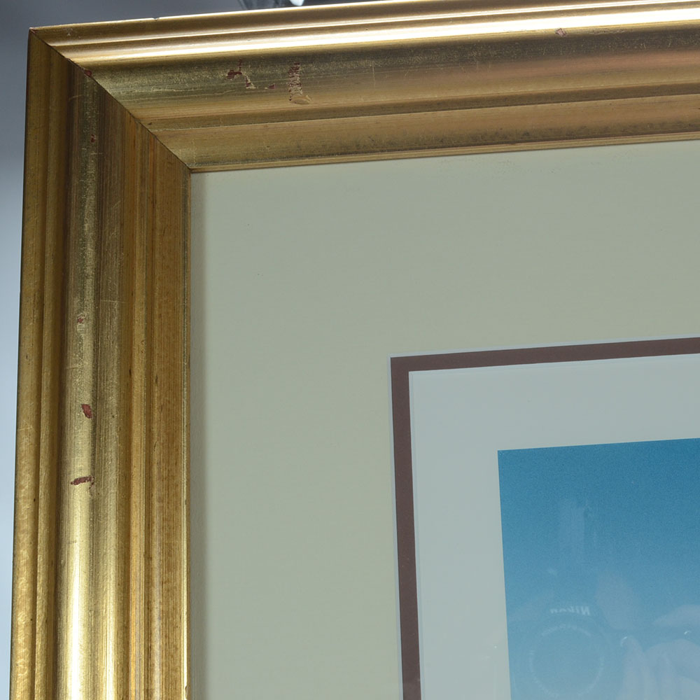 R. C. Gorman Signed 1992 Poster "The Radiance of My People"