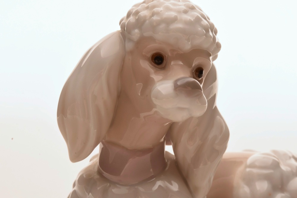 Lladro Poodle Figurines, Hand Made in Spain