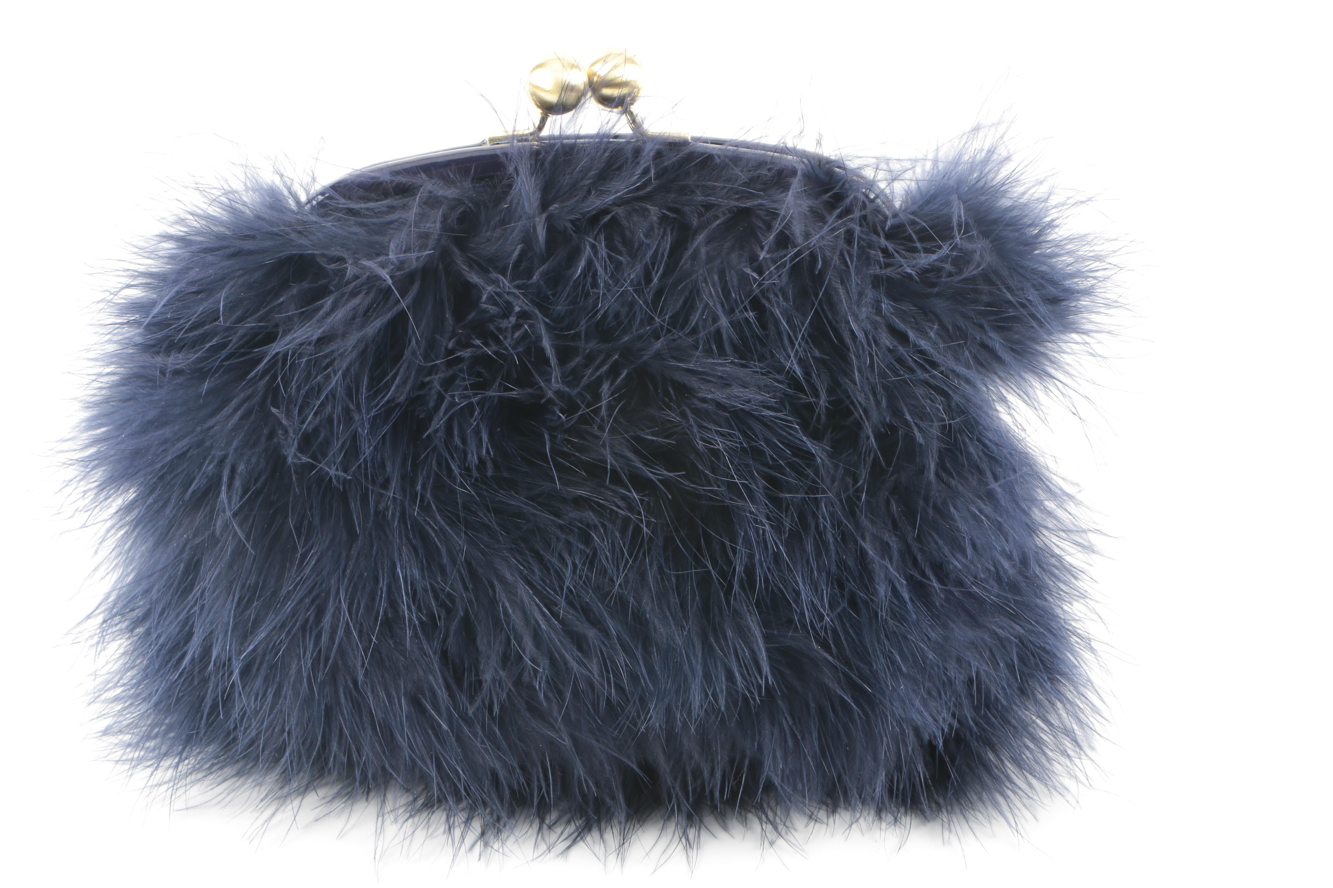 Coach Poppy Jewel Frame Bag in Blue