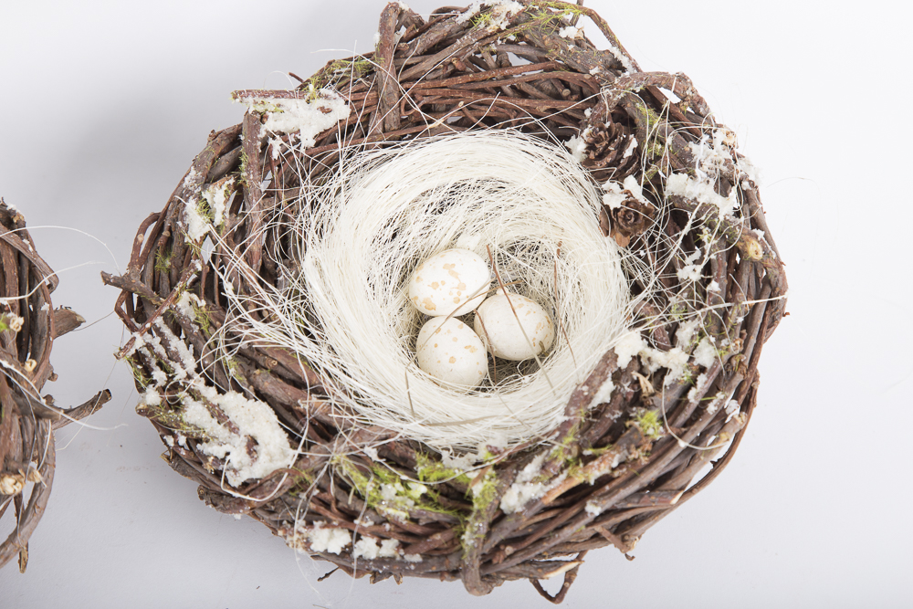 Rooster and Bird Decor