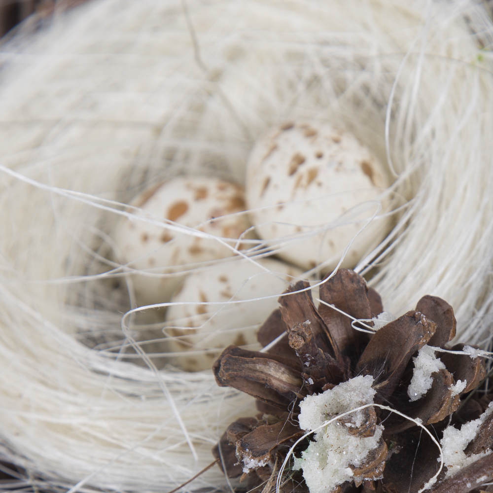 Rooster and Bird Decor