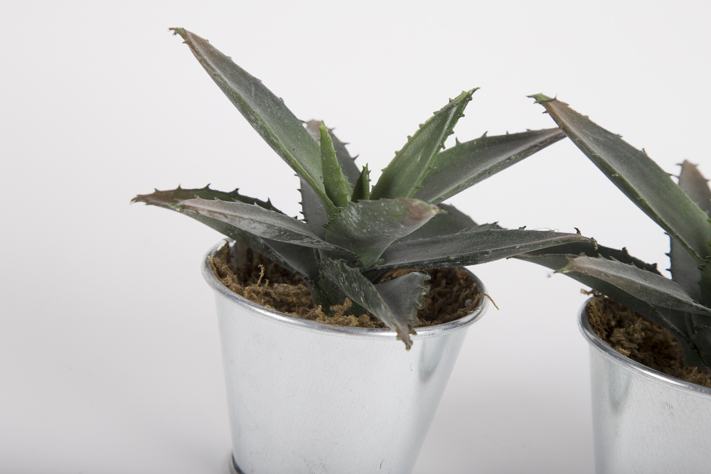 Faux Succulent Plants