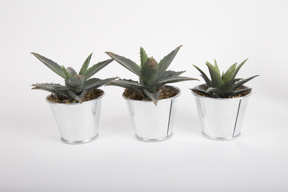 Faux Succulent Plants