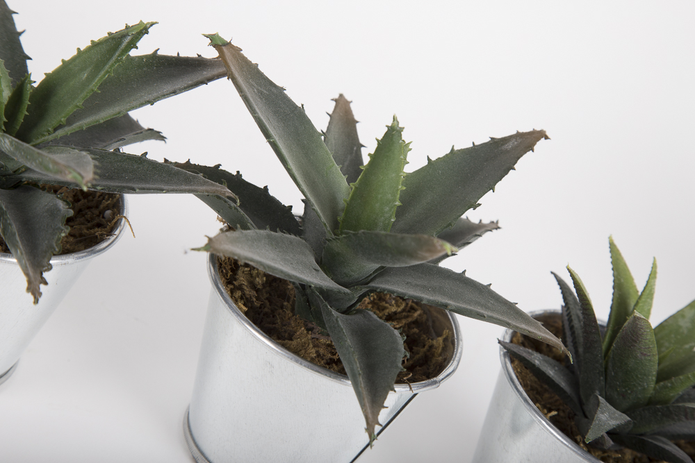 Faux Succulent Plants