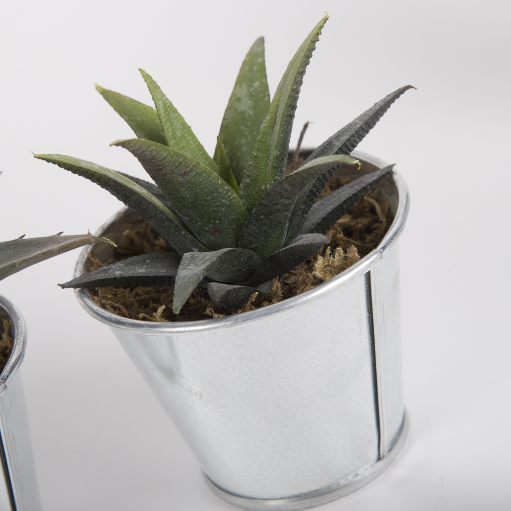 Faux Succulent Plants