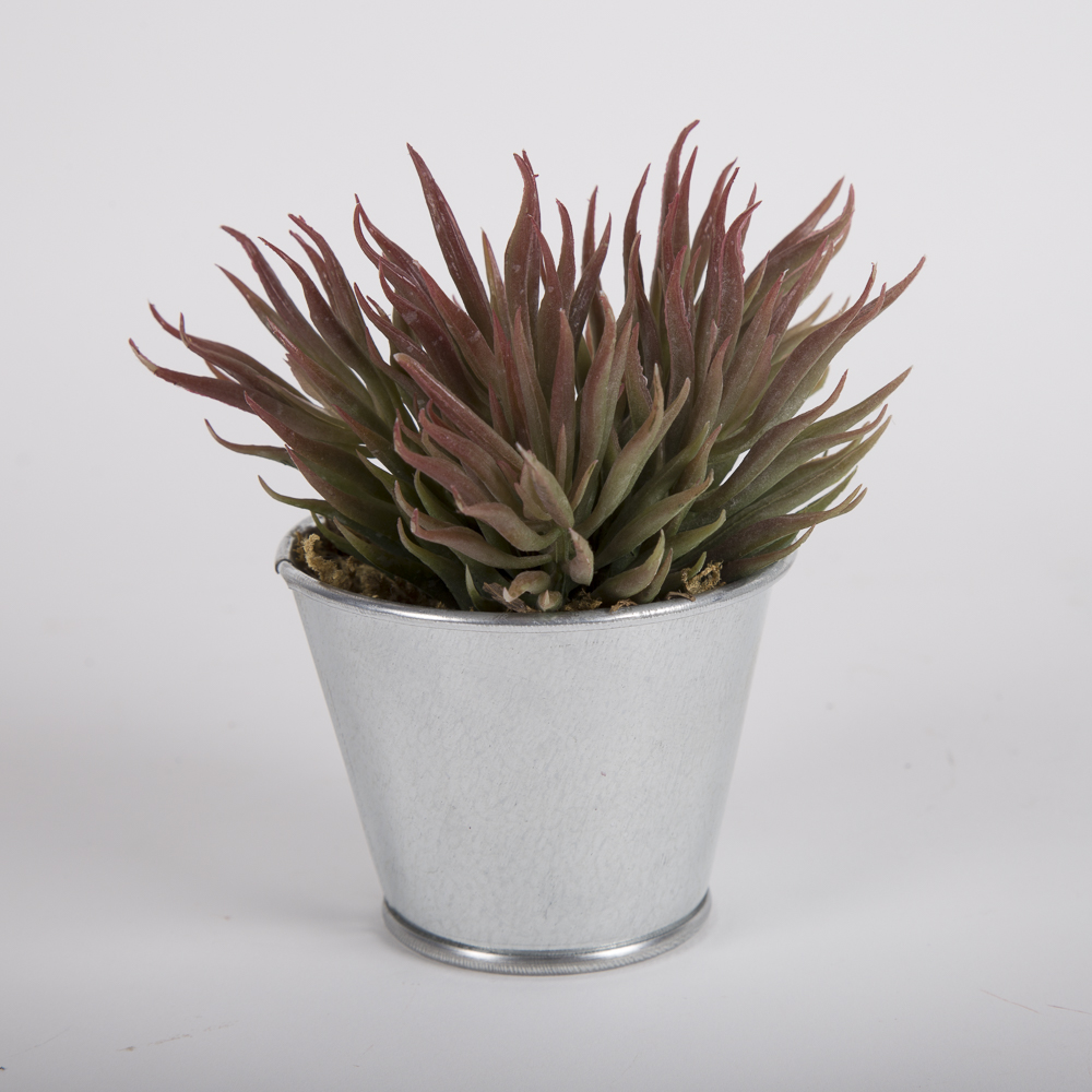 Faux Succulent Plants