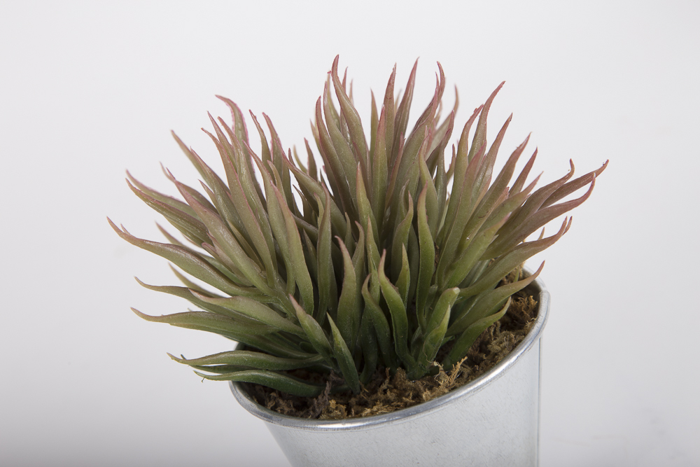 Faux Succulent Plants