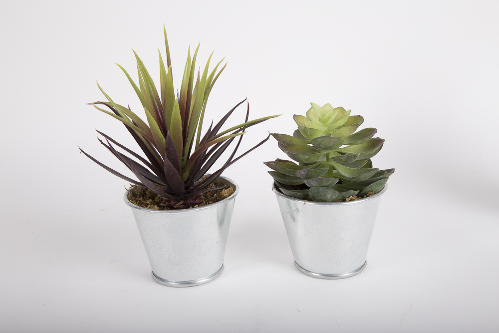 Faux Succulent Plants