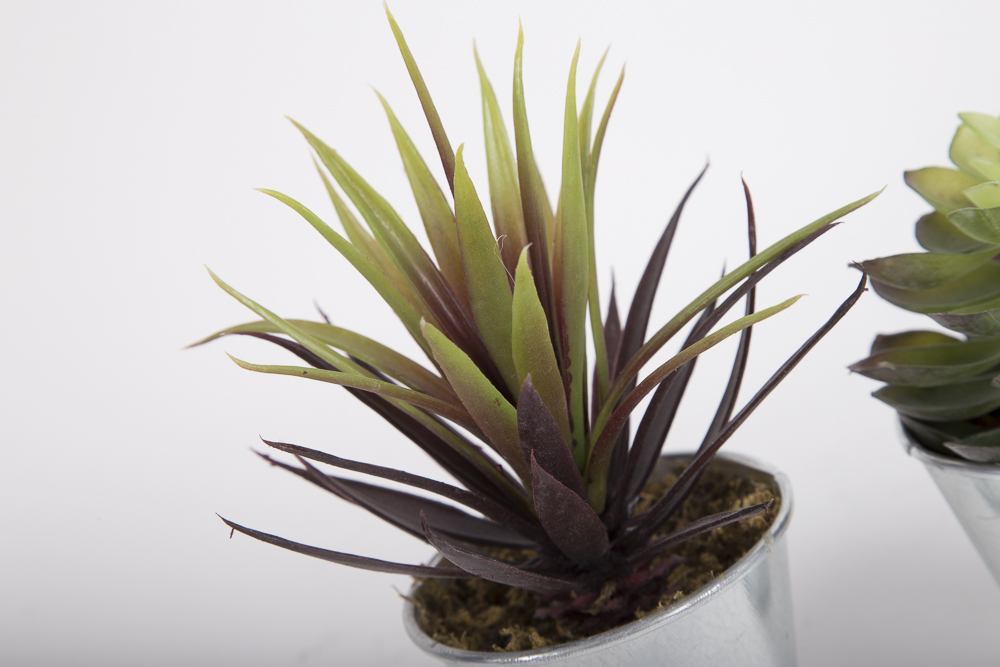 Faux Succulent Plants