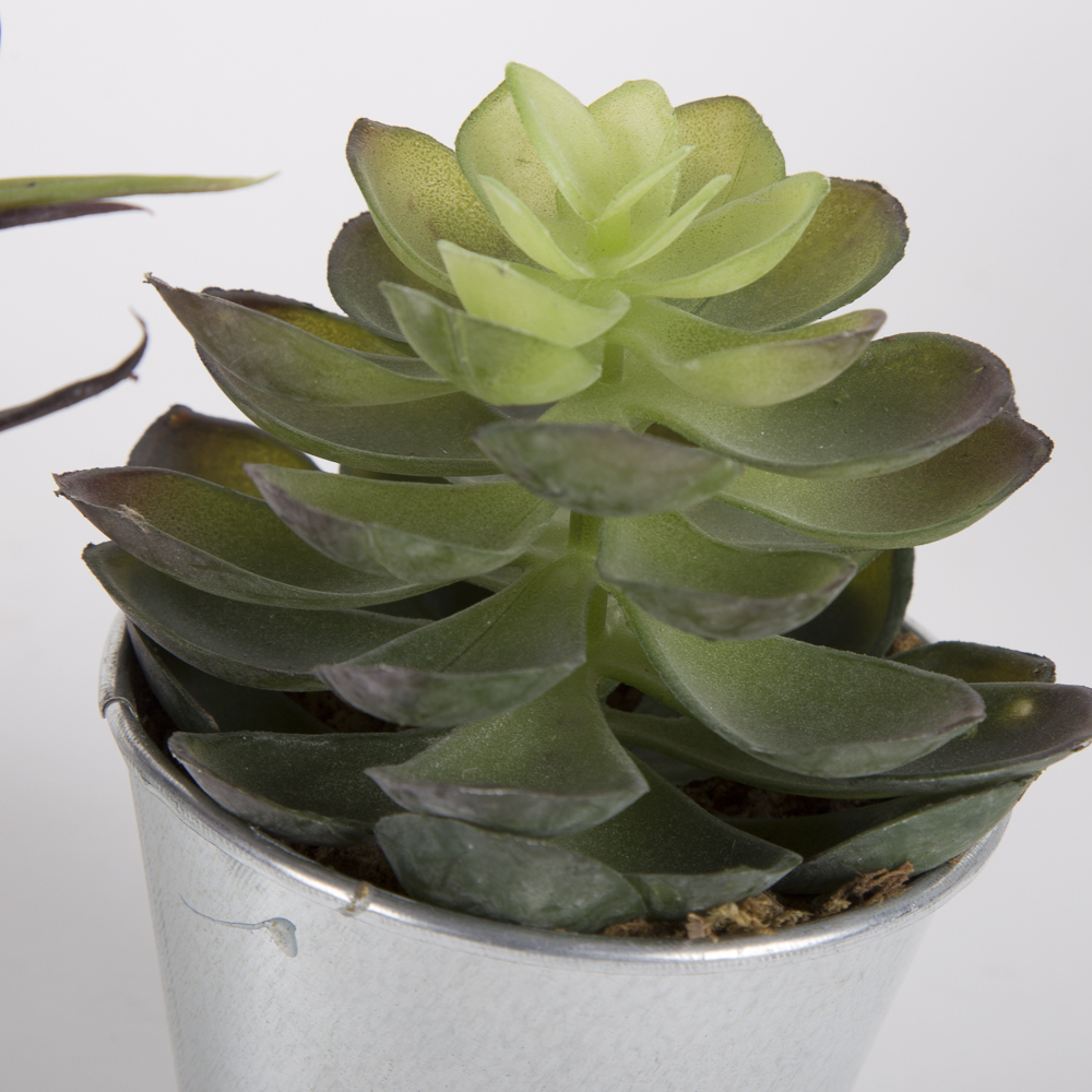 Faux Succulent Plants