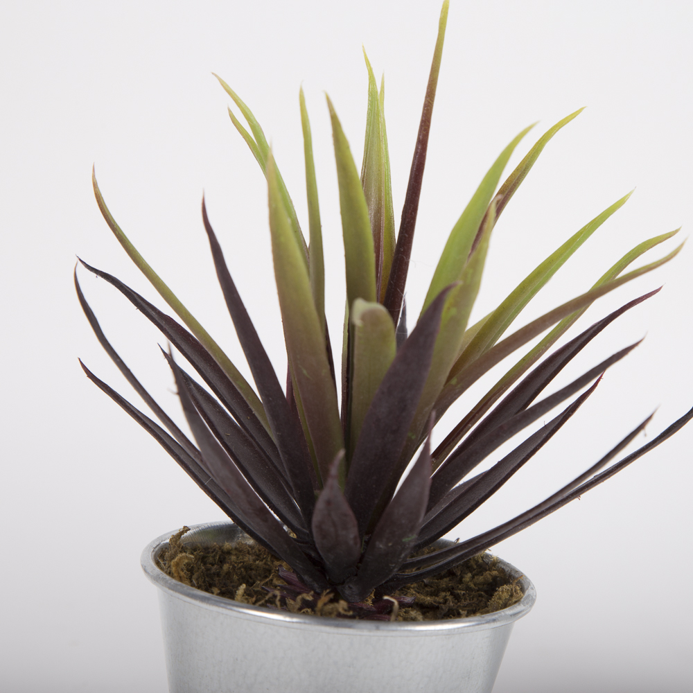 Faux Succulent Plants