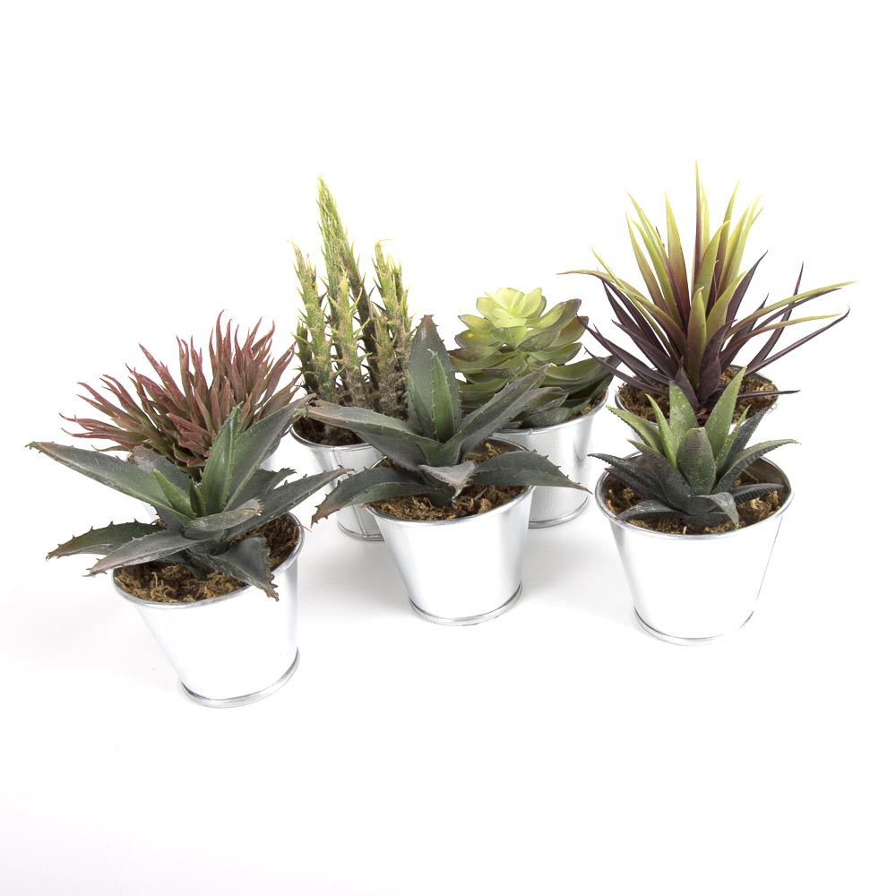 Faux Succulent Plants
