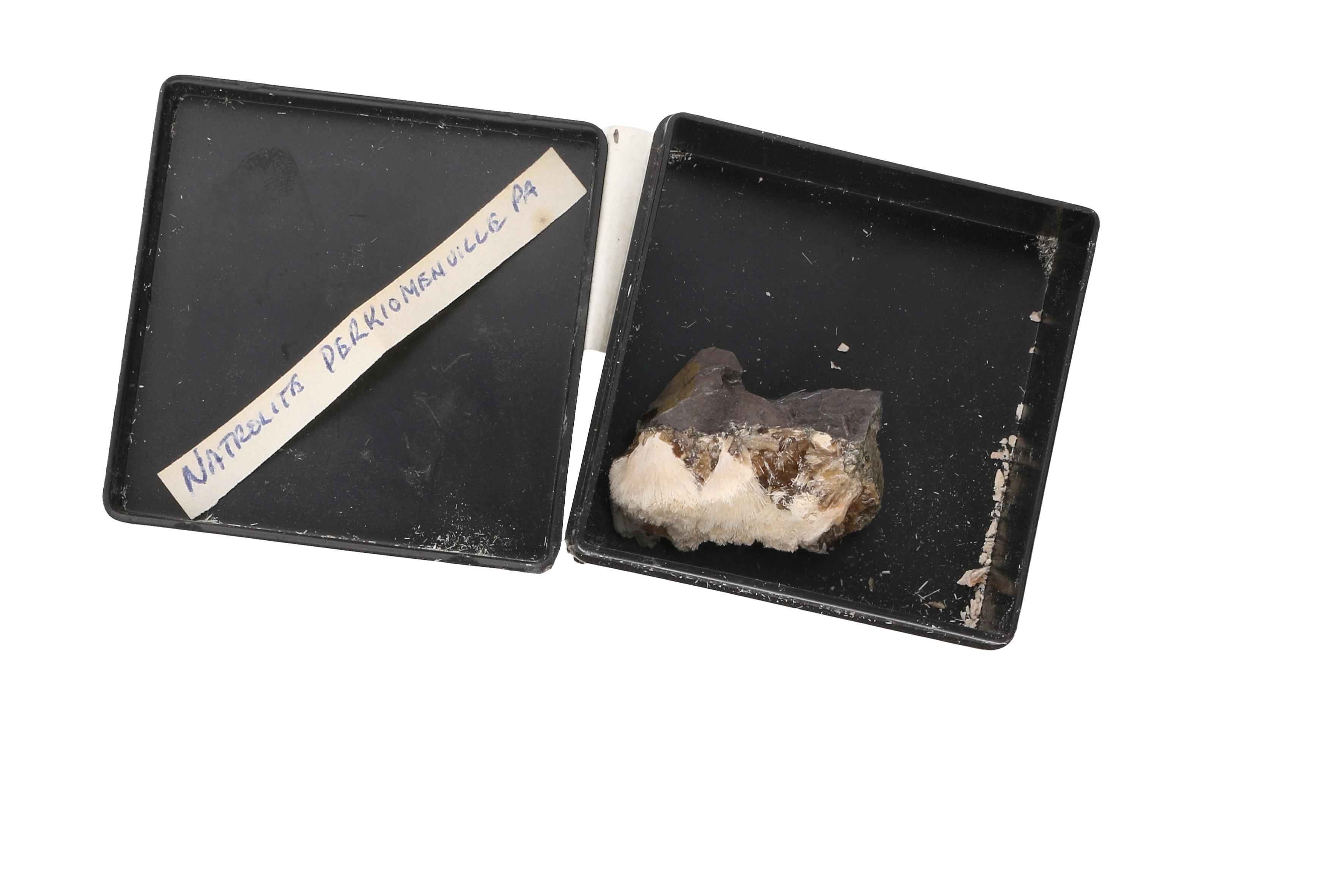 Mineral and Crystal Specimens