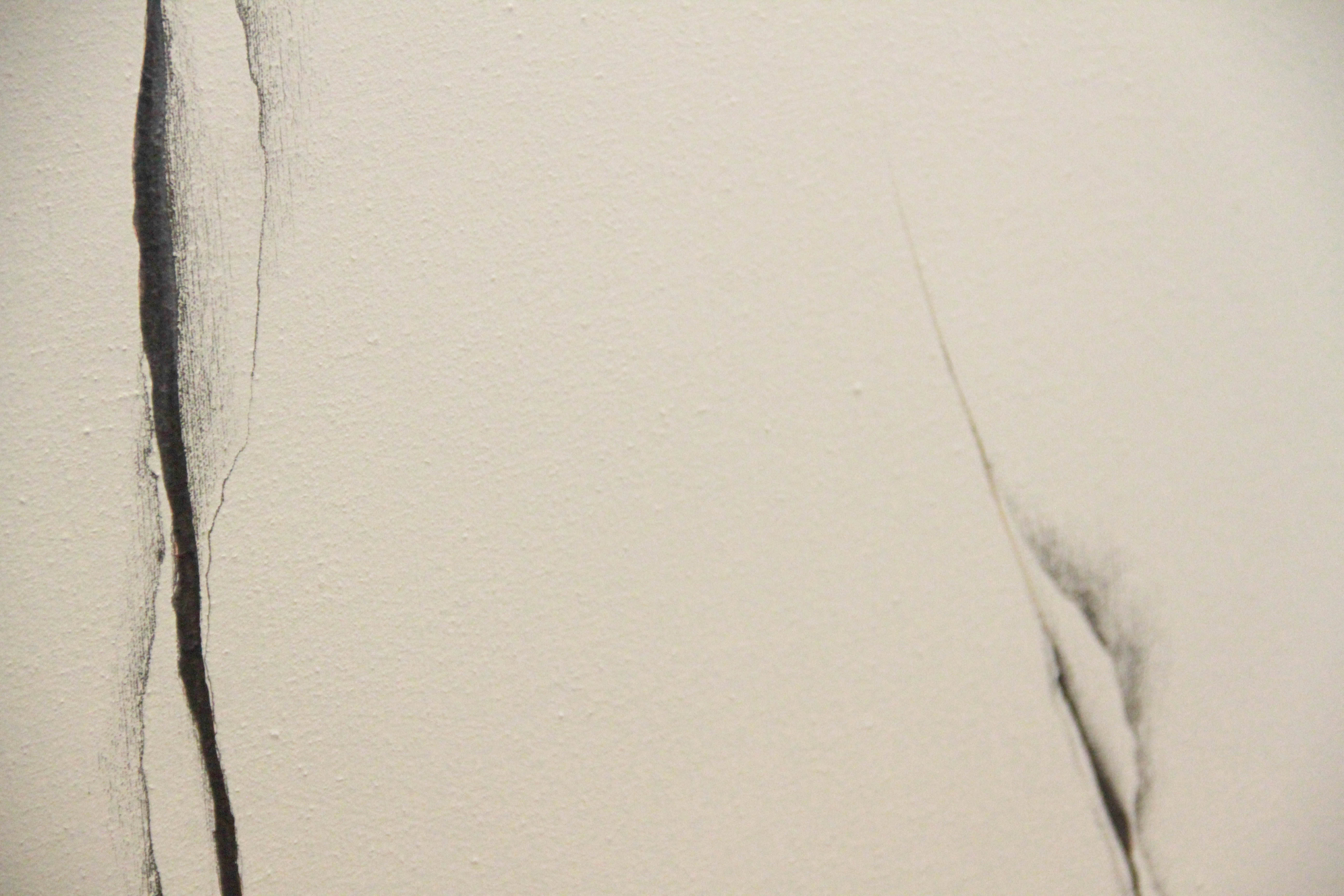 Roberta Harris Acrylic Painting on Canvas