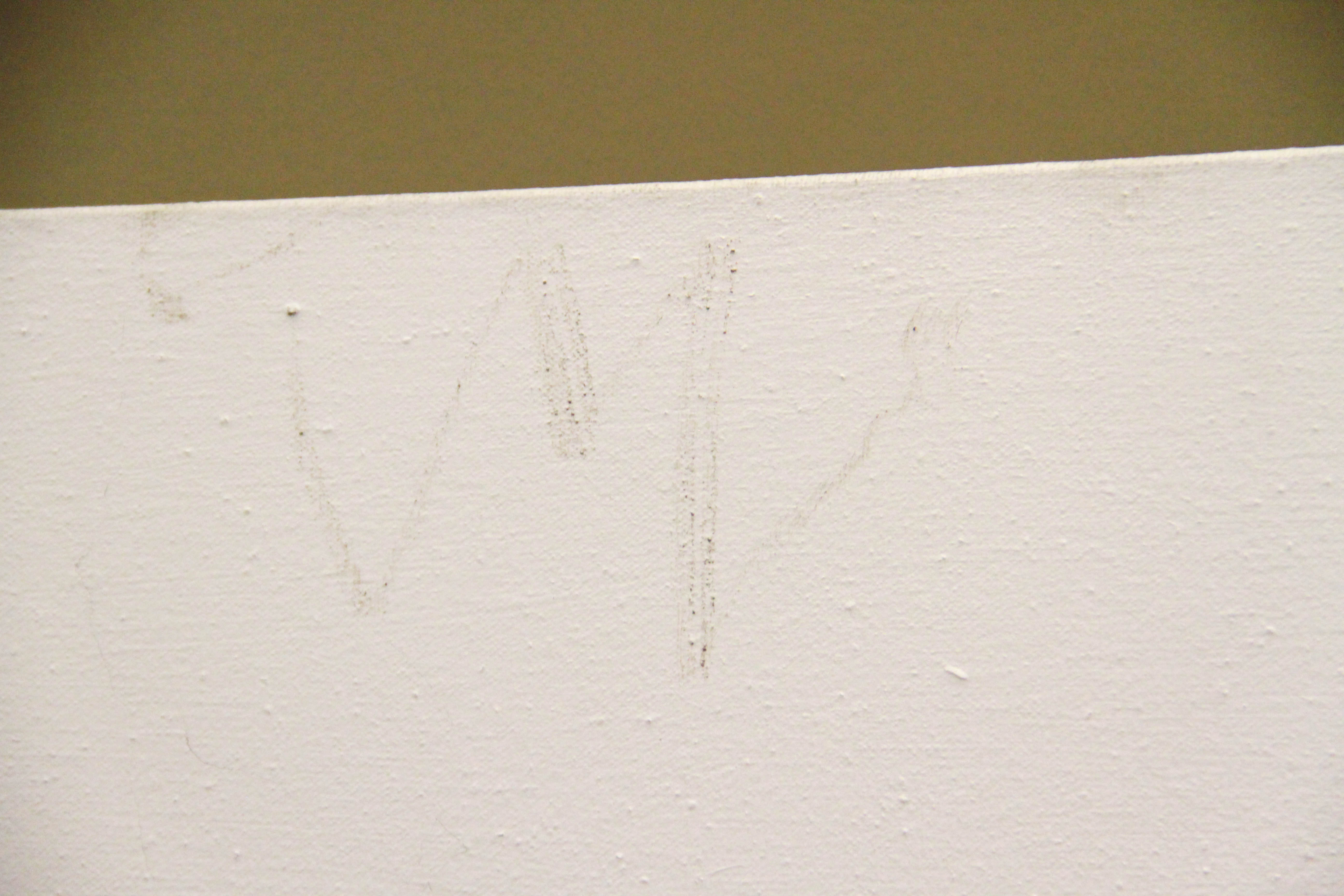 Roberta Harris Acrylic Painting on Canvas