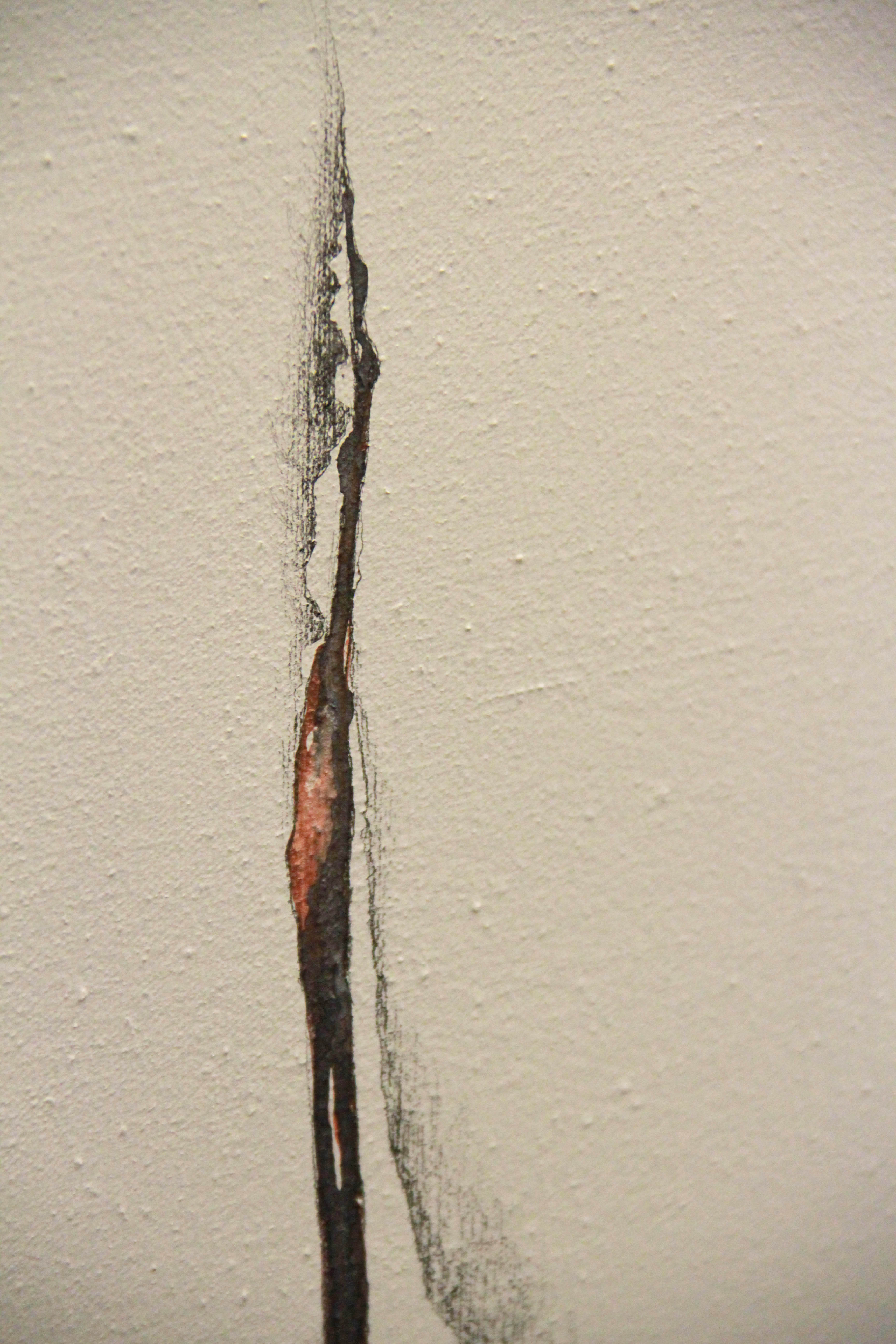 Roberta Harris Acrylic Painting on Canvas