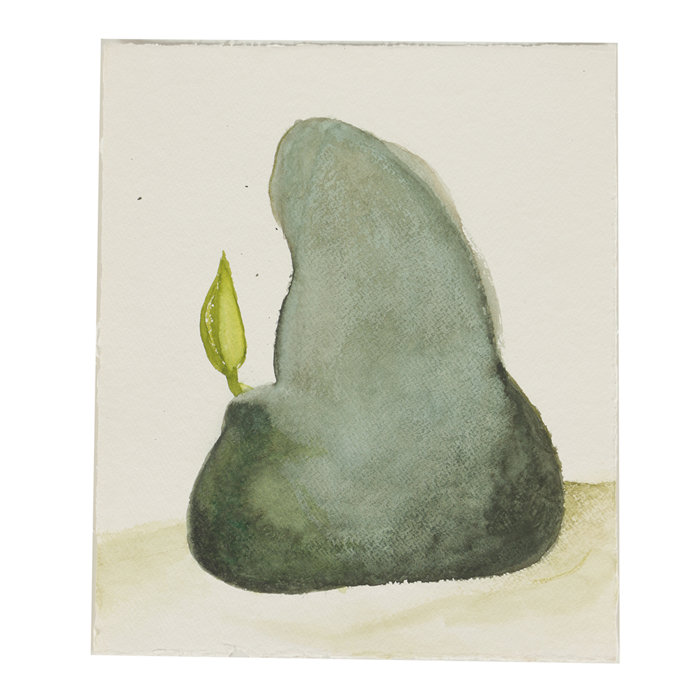 Beth Hertz Watercolor Painting on Paper "Weed + Pear Shape"