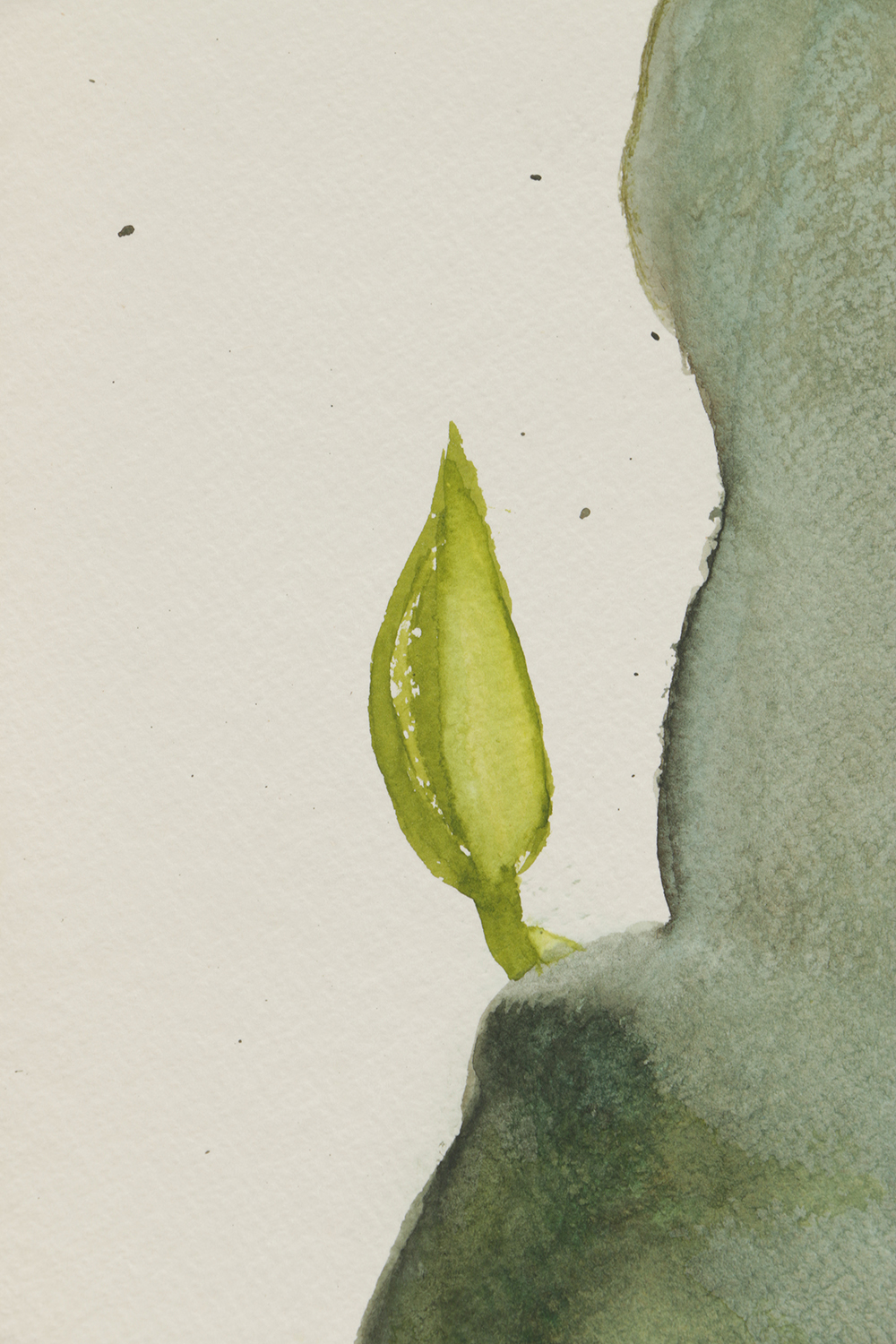Beth Hertz Watercolor Painting on Paper "Weed + Pear Shape"