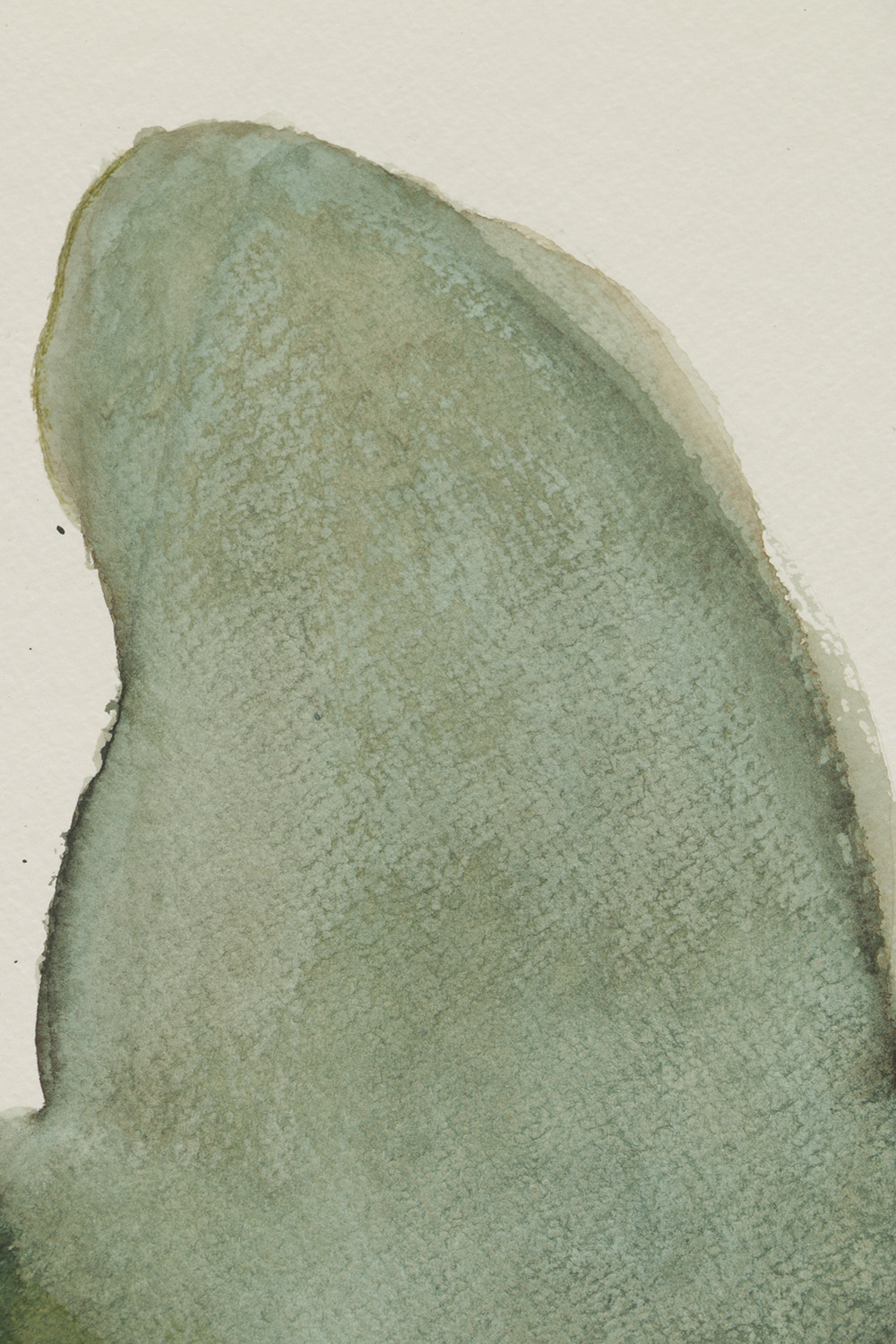 Beth Hertz Watercolor Painting on Paper "Weed + Pear Shape"