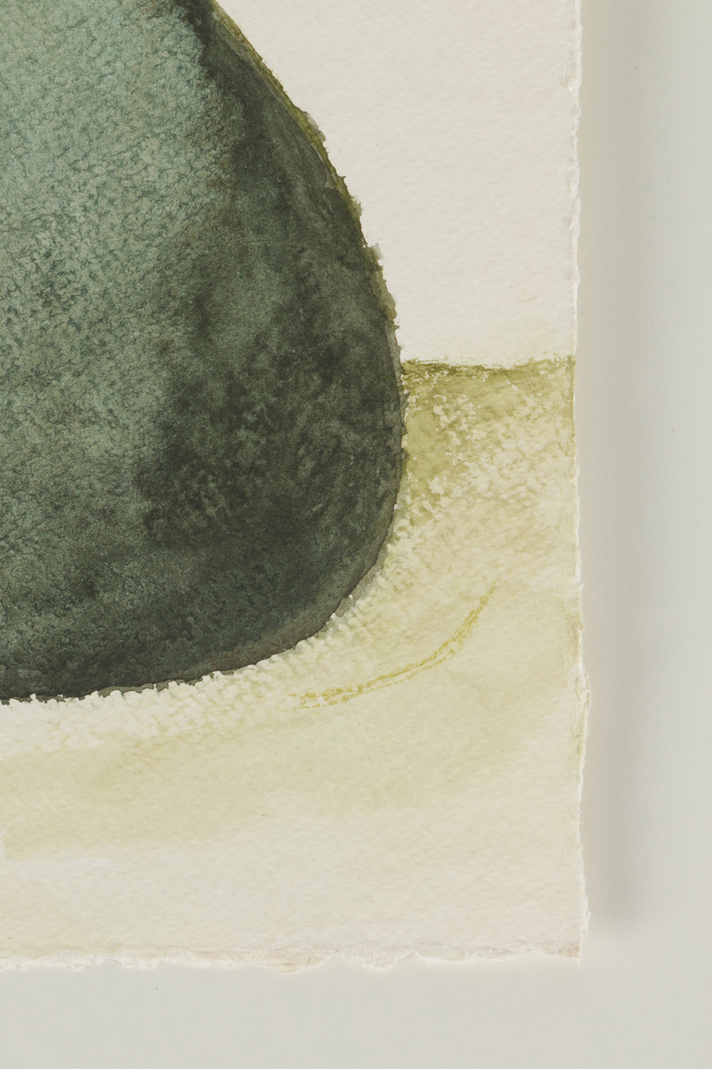 Beth Hertz Watercolor Painting on Paper "Weed + Pear Shape"