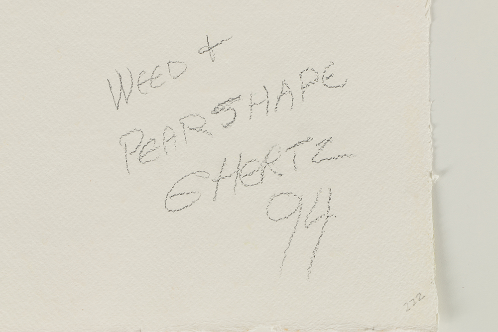 Beth Hertz Watercolor Painting on Paper "Weed + Pear Shape"