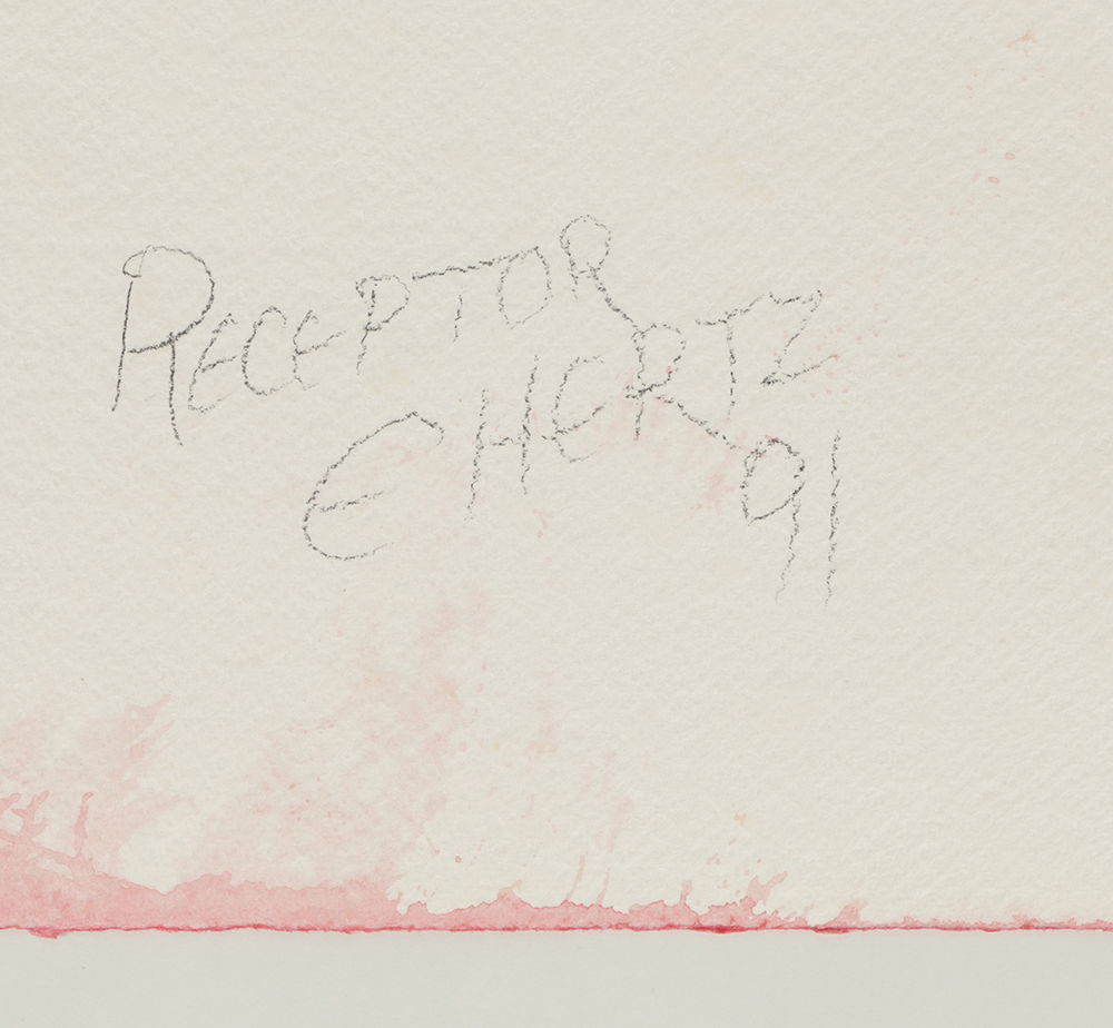 Beth Hertz Watercolor Painting on Paper "Receptor"