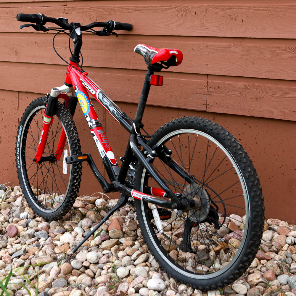 Trek MT 220 Bike
