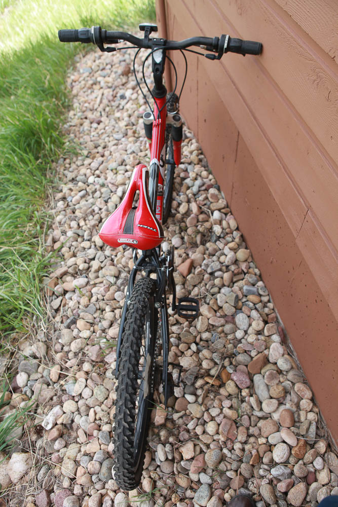 Trek MT 220 Bike