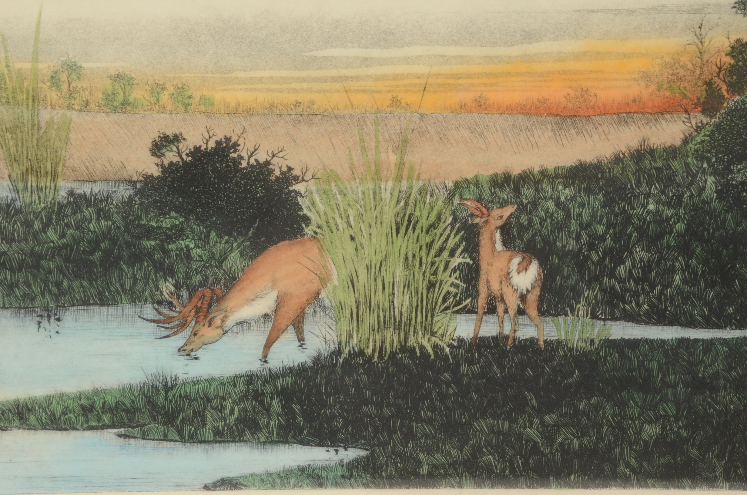 Hand-Colored Landscape Etching with Deer