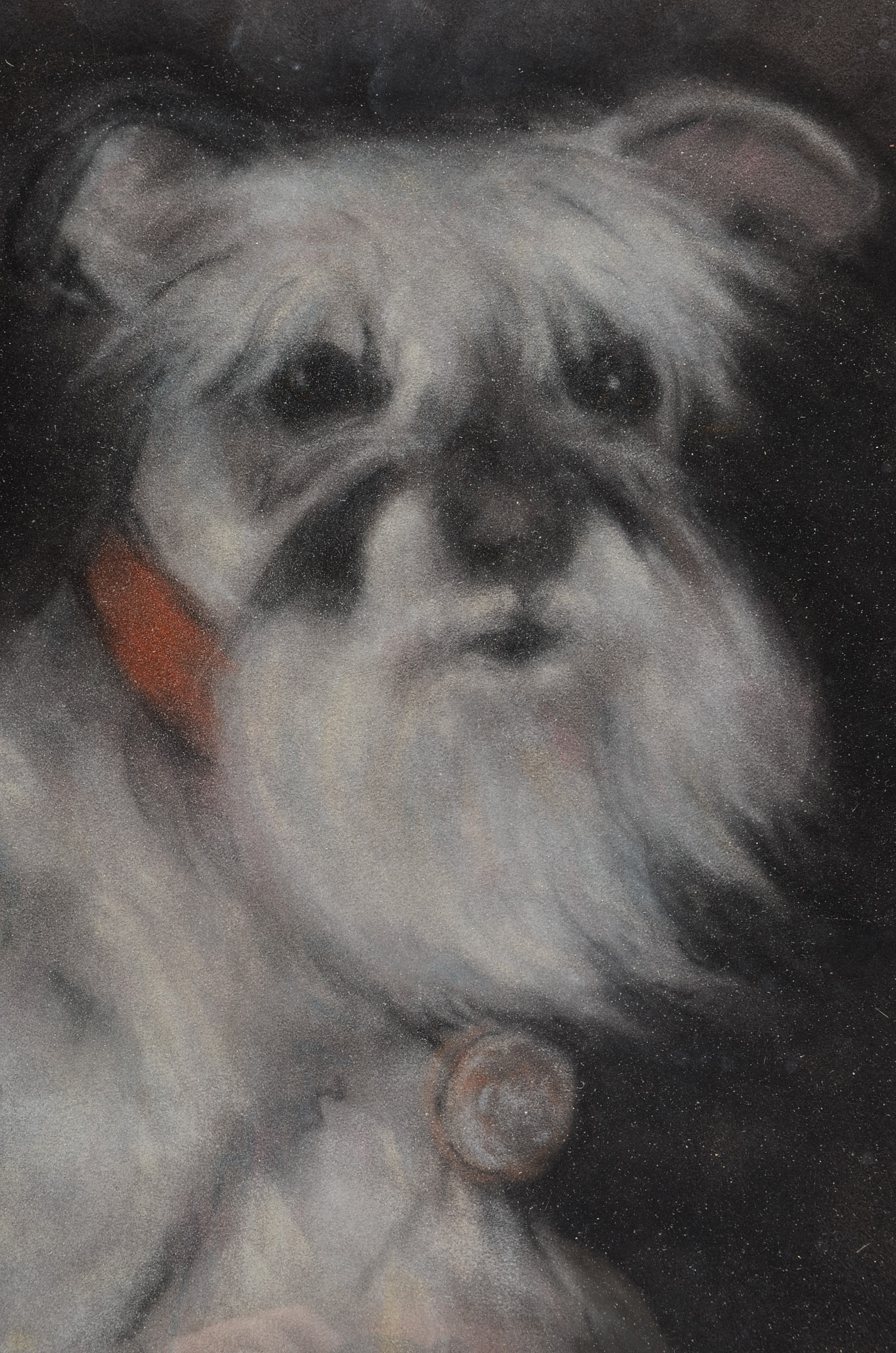 J. P. Ohnes Original 1988 Pastel Drawing of Schnauzer