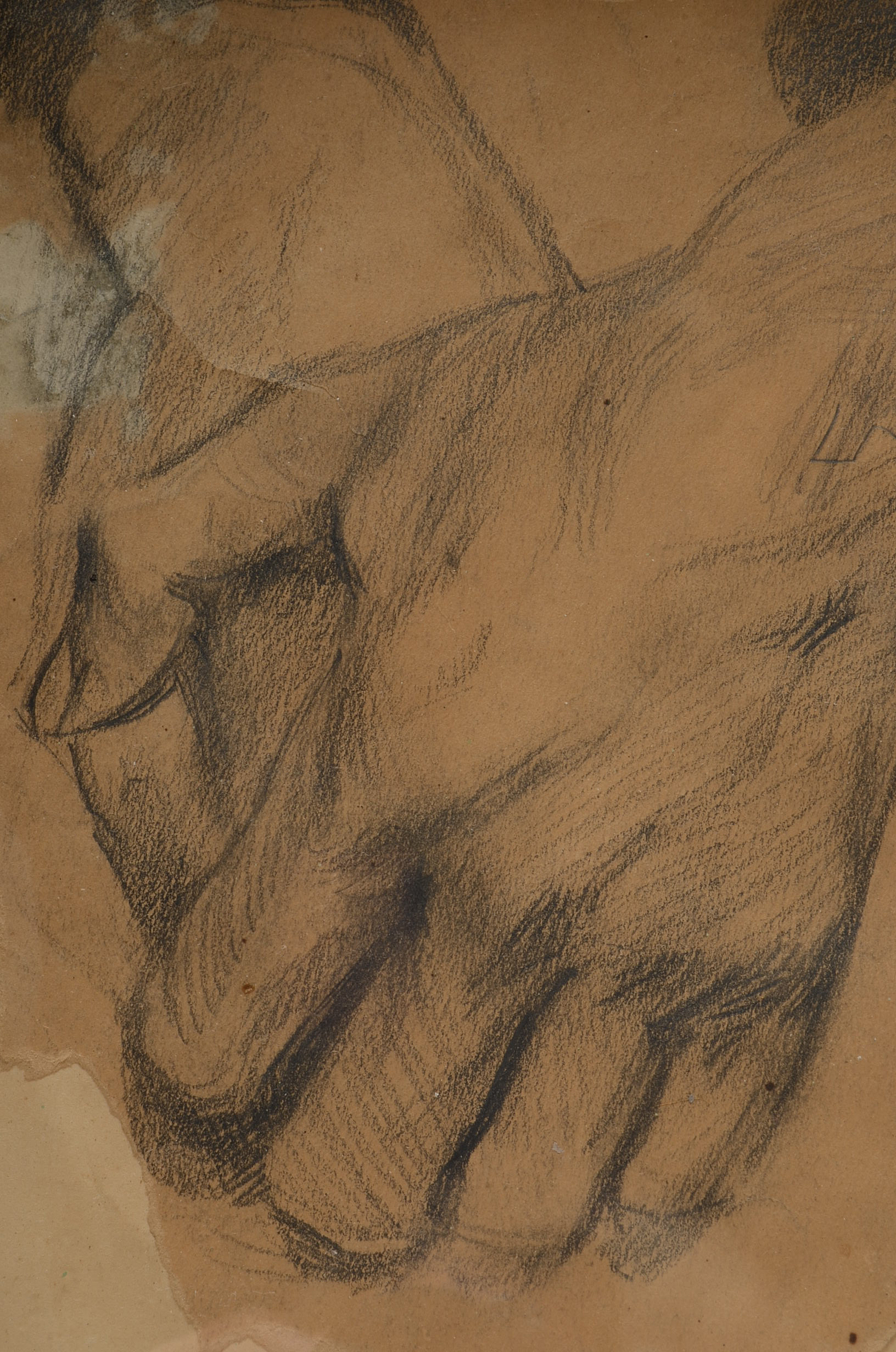 Anna Lord Original 1927 Graphite Hand Study Drawing on Paper