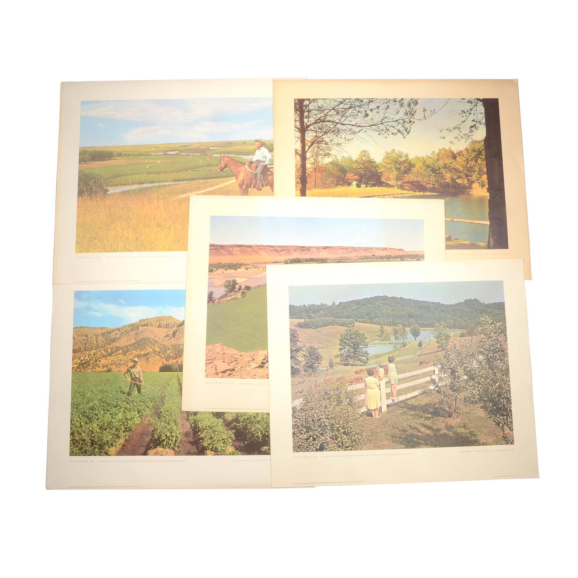 Five Vintage U.S. Department of Agriculture Posters