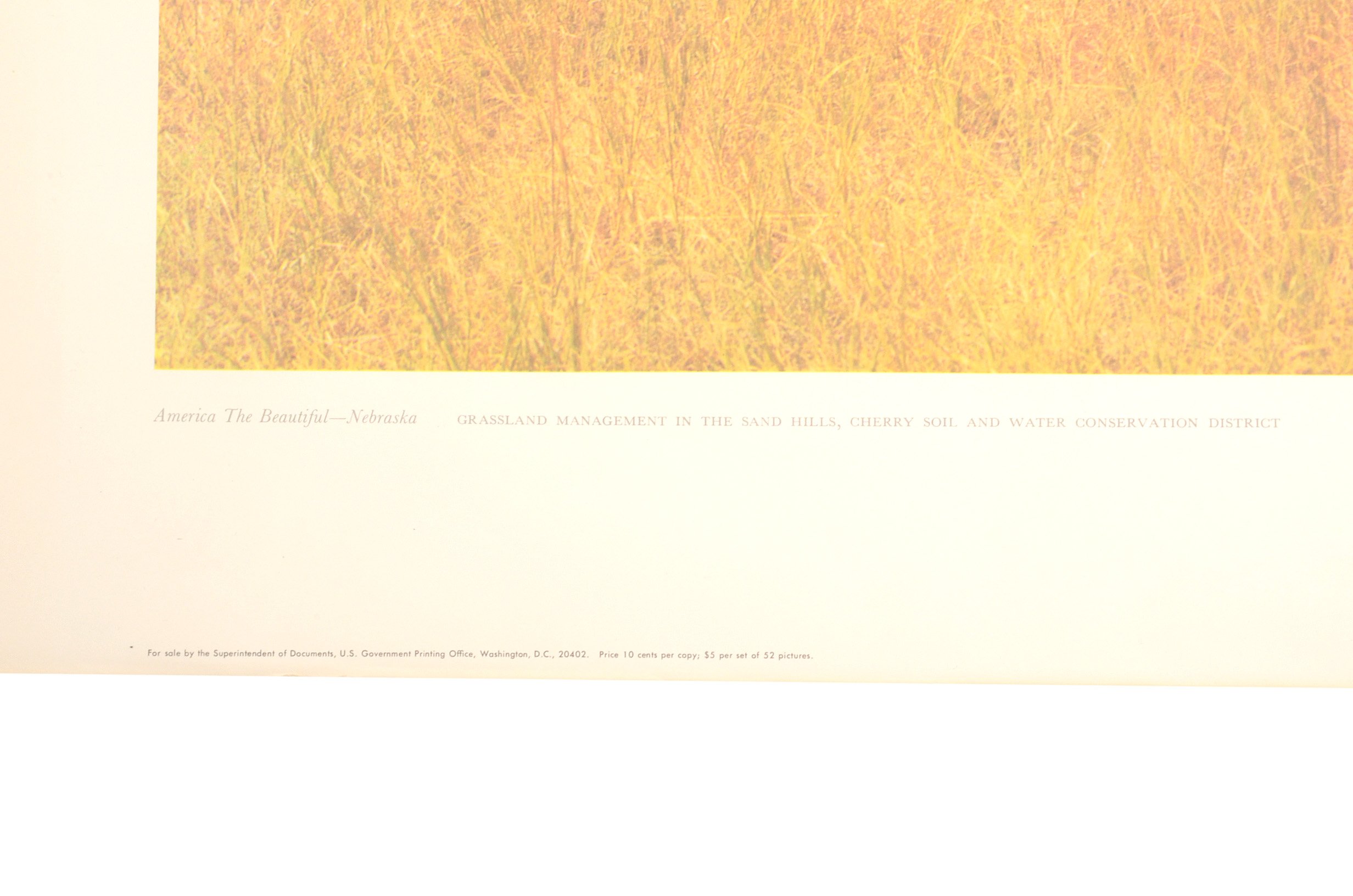 Five Vintage U.S. Department of Agriculture Posters