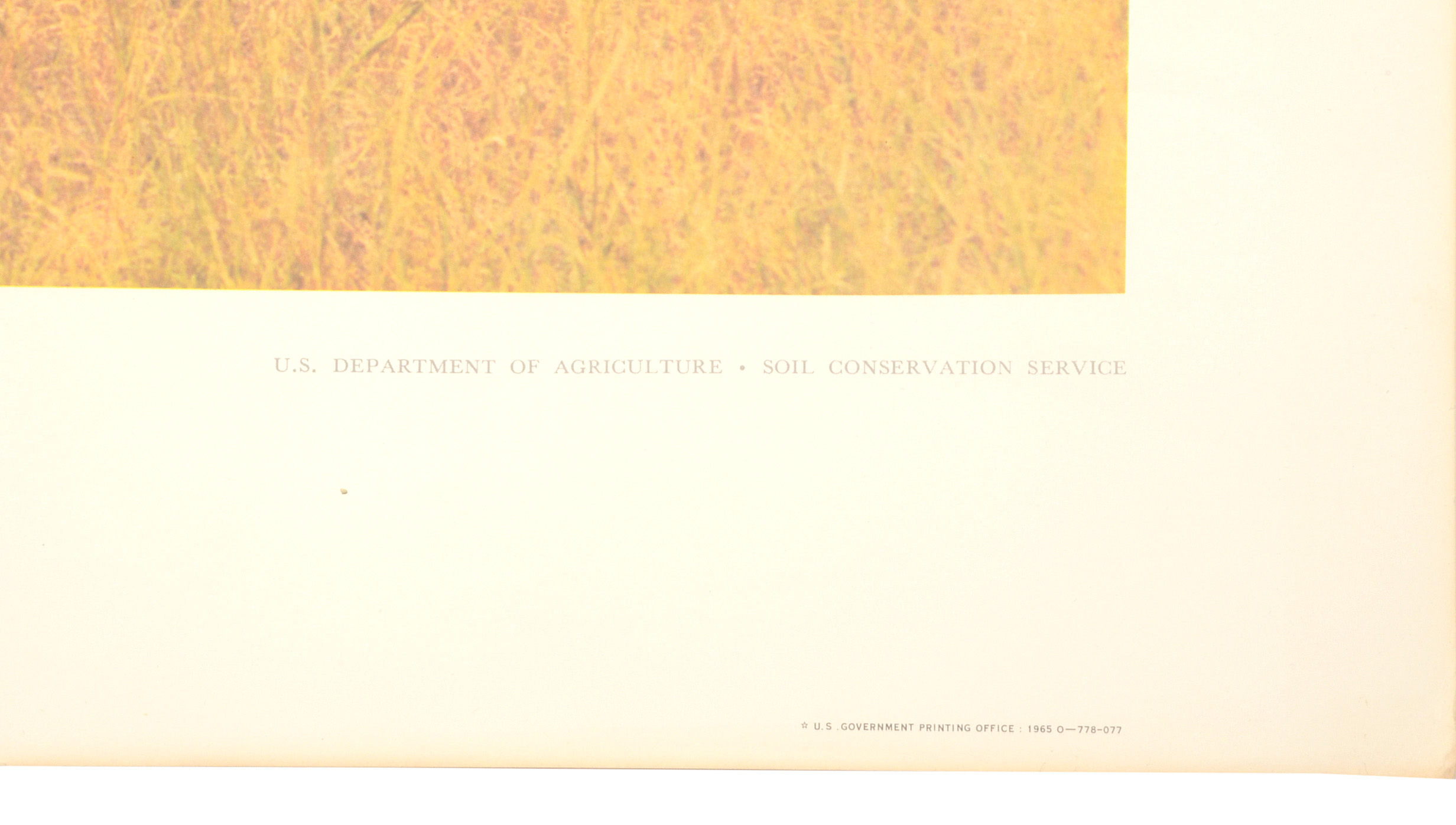 Five Vintage U.S. Department of Agriculture Posters