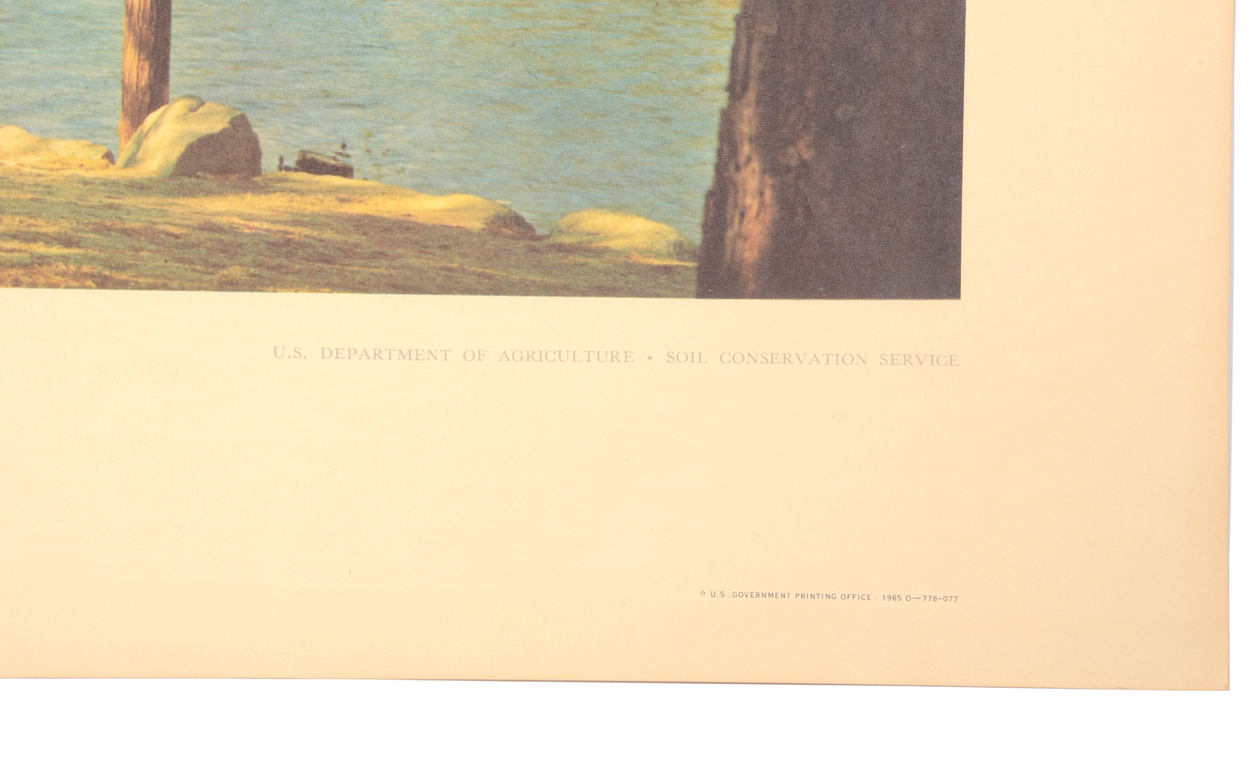 Five Vintage U.S. Department of Agriculture Posters