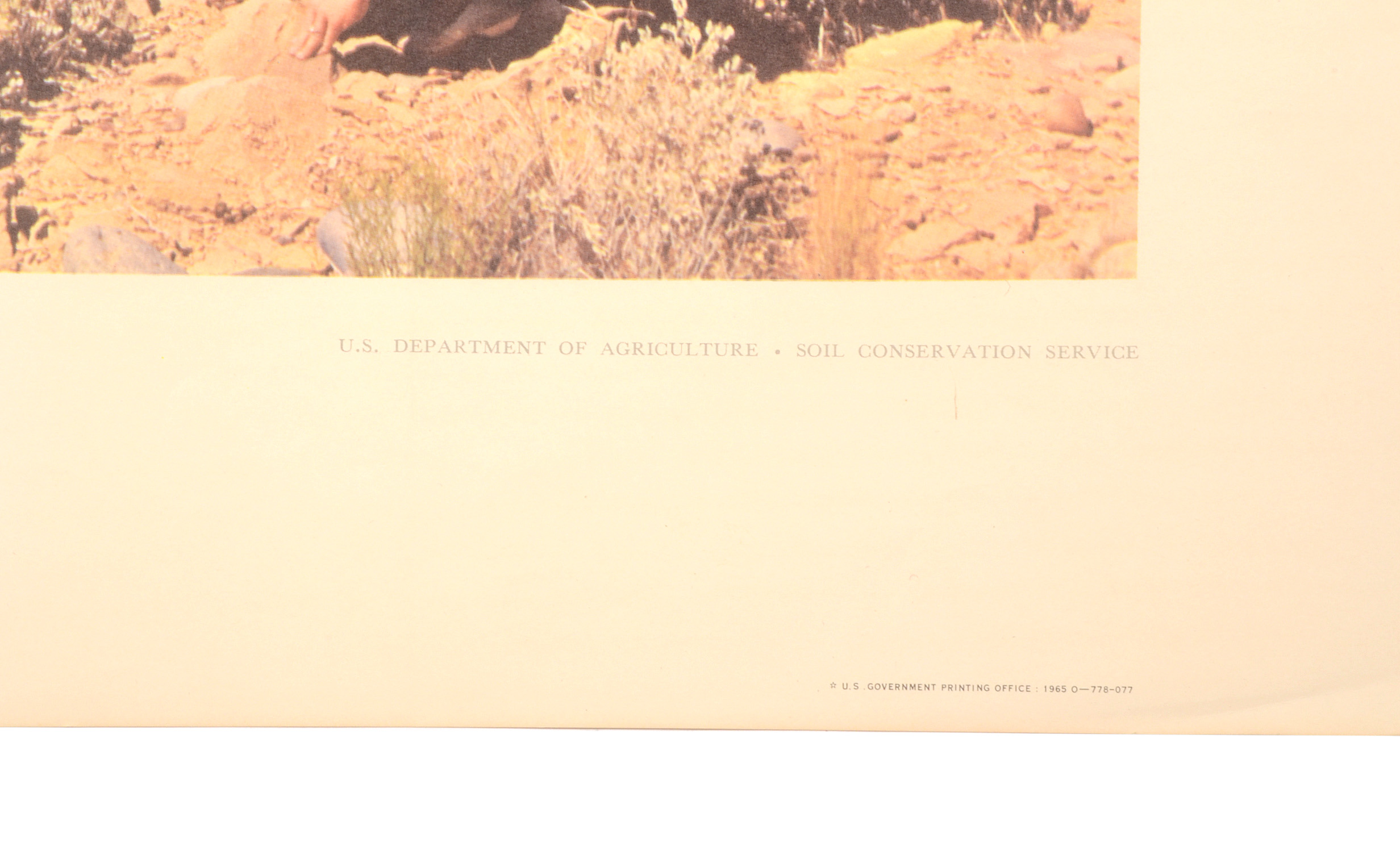 Five Vintage U.S. Department of Agriculture Posters