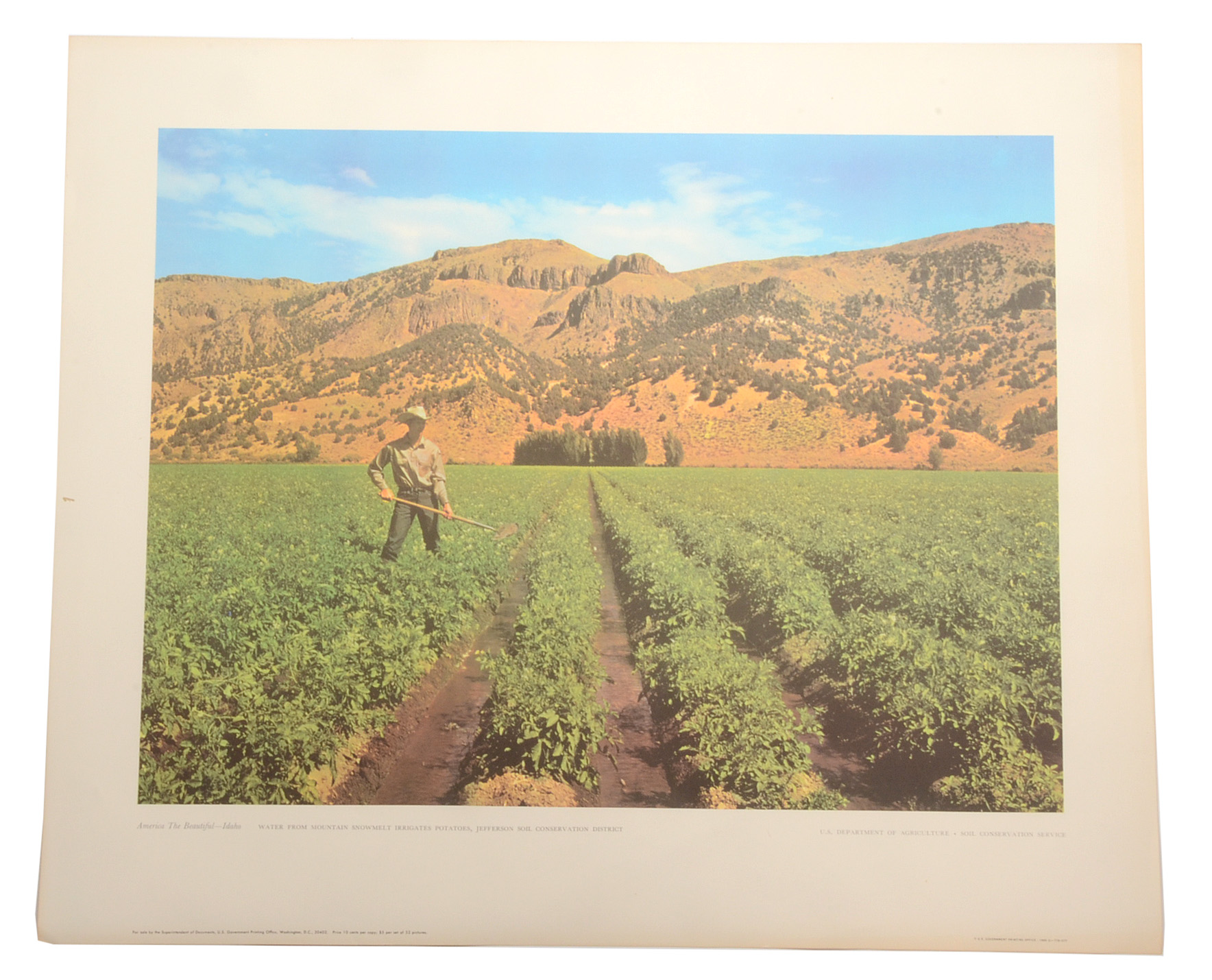 Five Vintage U.S. Department of Agriculture Posters