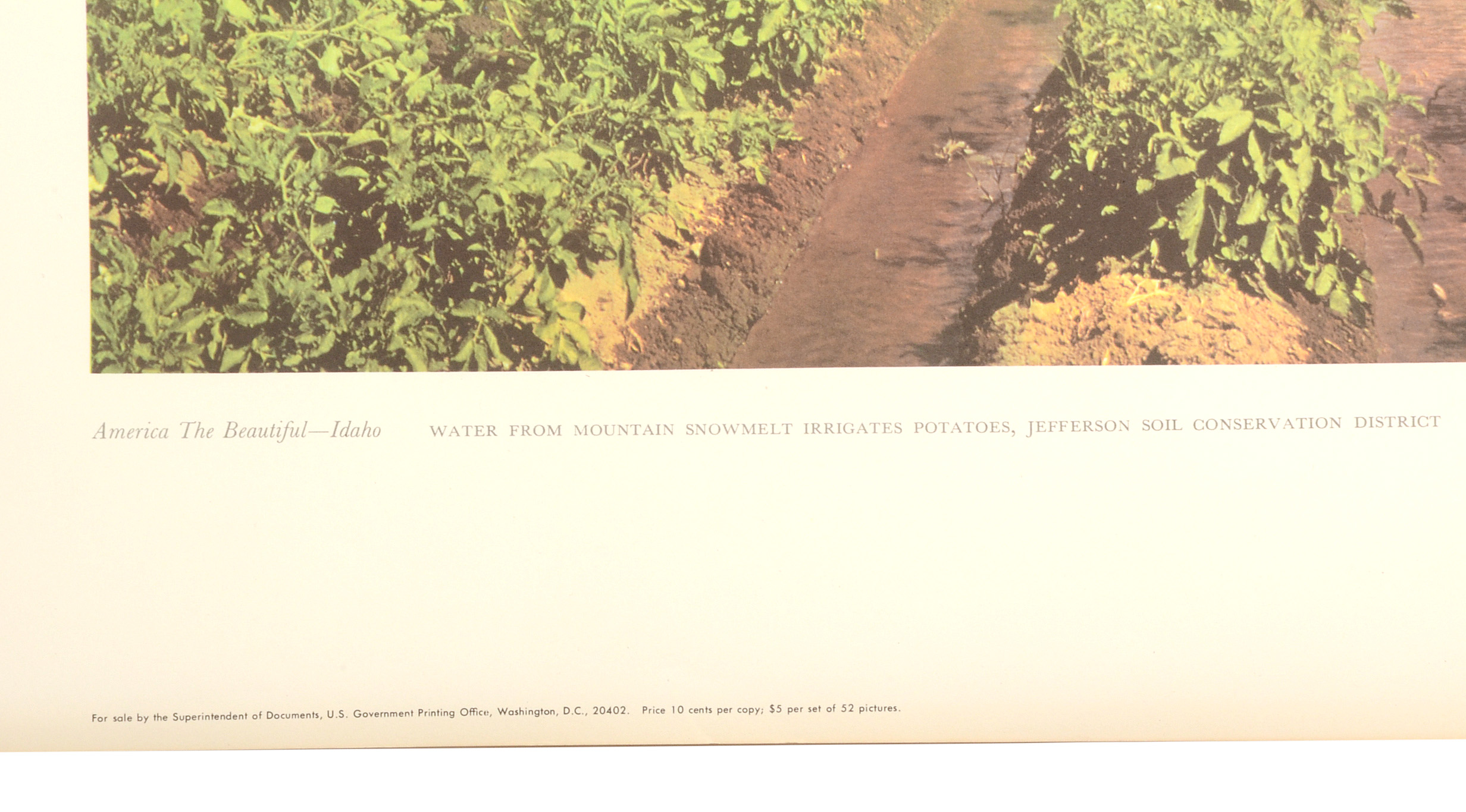 Five Vintage U.S. Department of Agriculture Posters