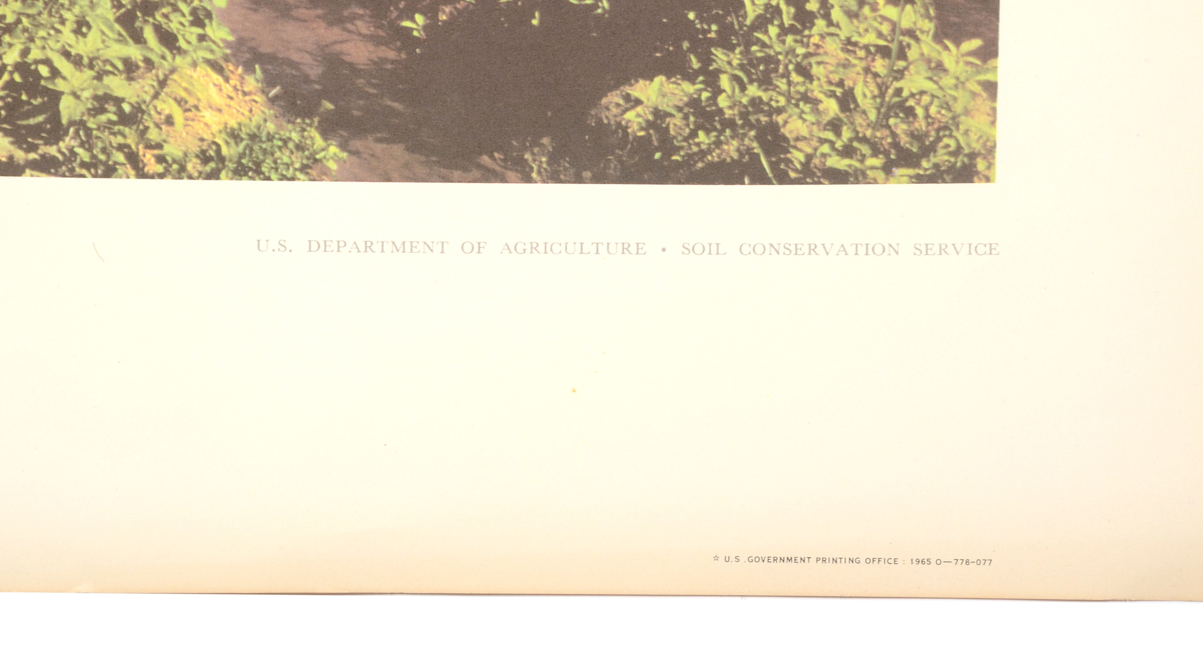 Five Vintage U.S. Department of Agriculture Posters