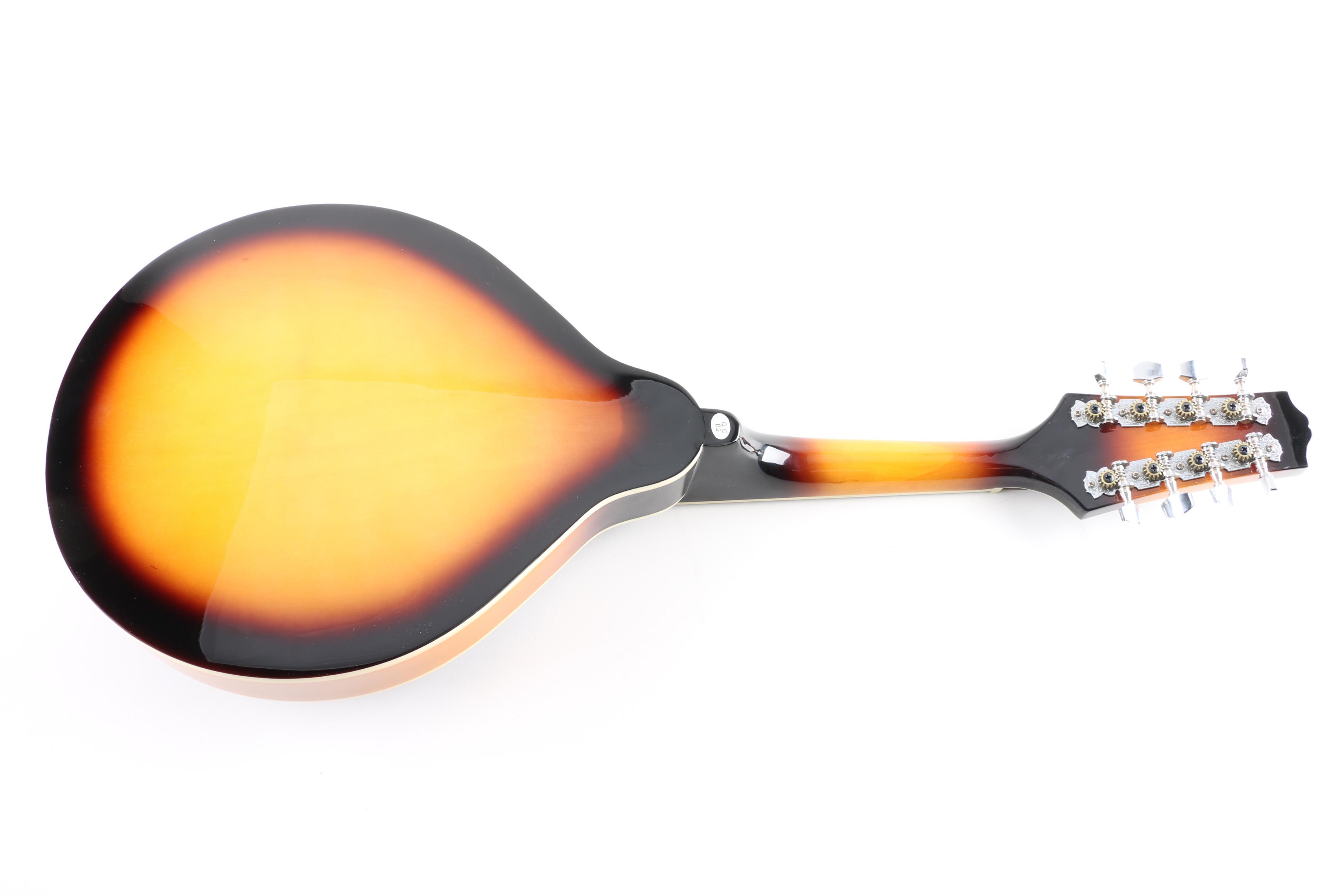 Rogue RM-100A Mandolin and Case