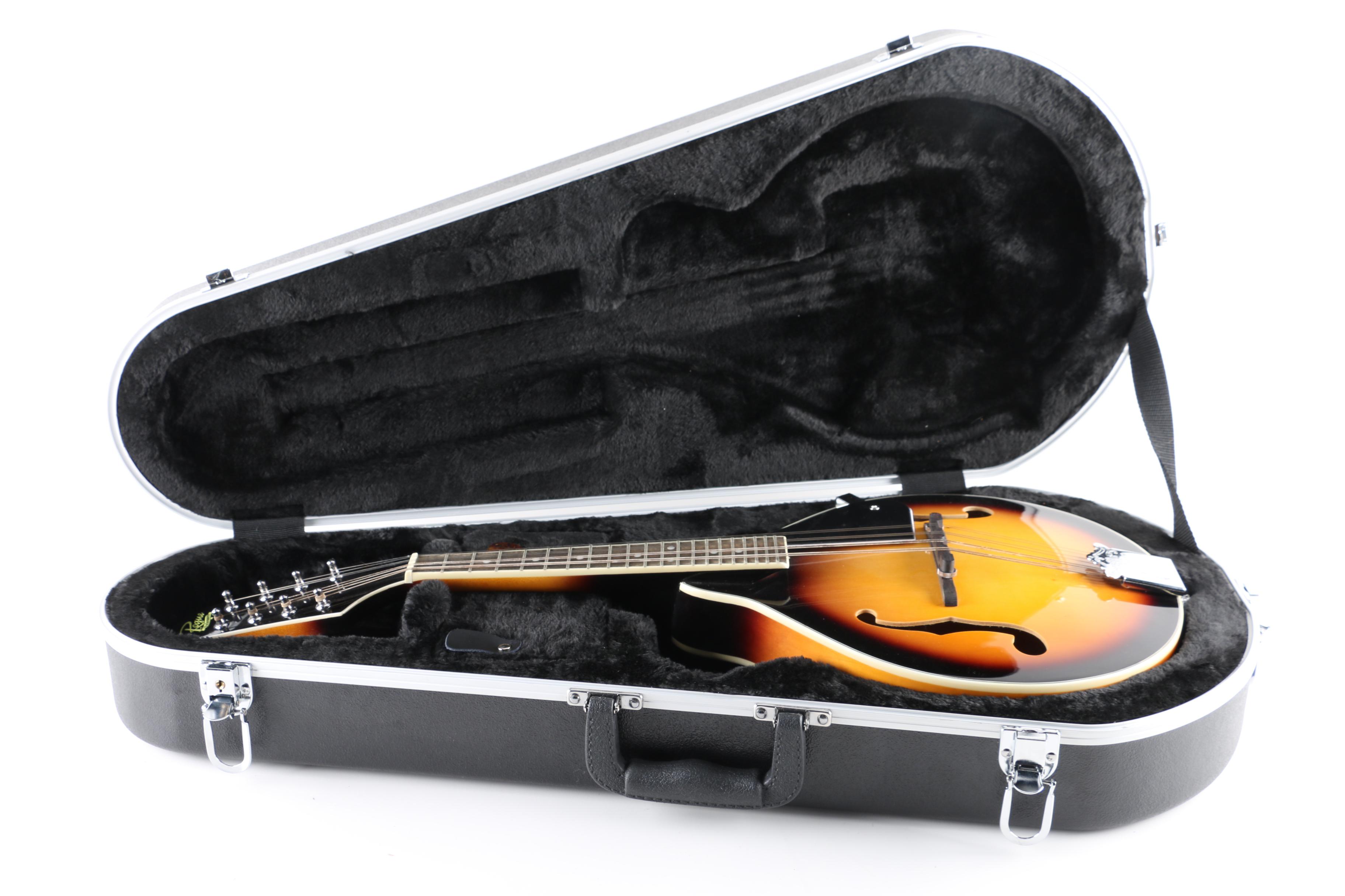 Rogue RM-100A Mandolin and Case