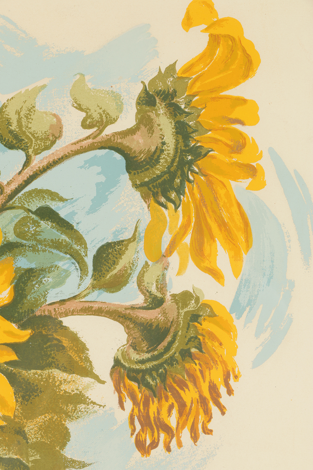 Arthur Helwig Serigraph on Paper of Sunflowers