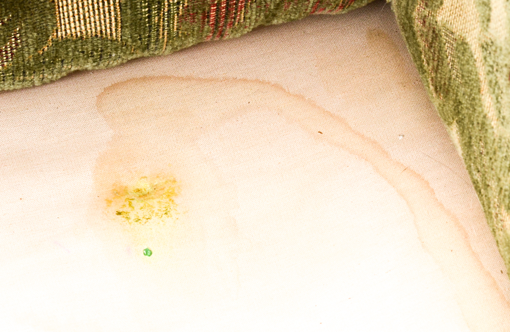 Green Floral Oversized Armchair