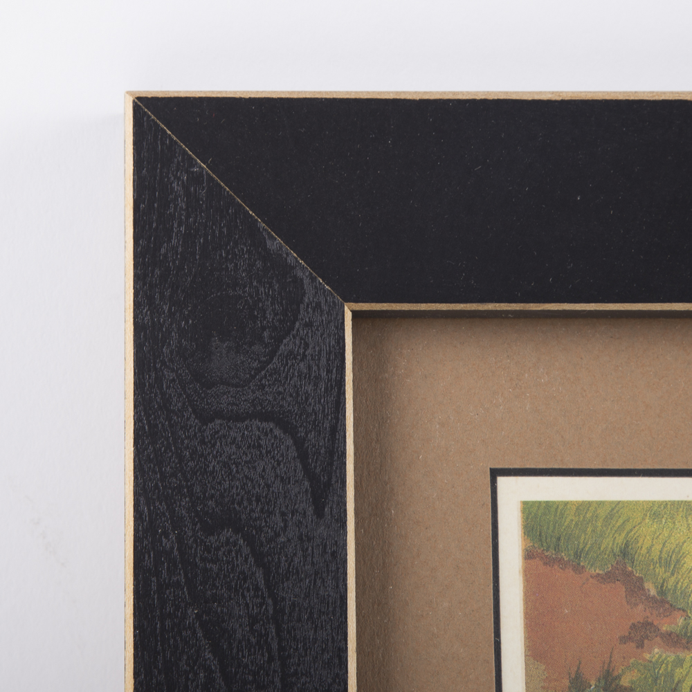 After J.W. Ludlow Offset Lithographs of Poultry