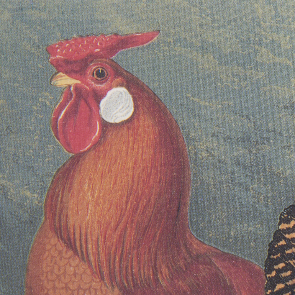 After J.W. Ludlow Offset Lithographs of Poultry