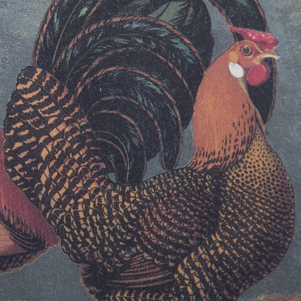 After J.W. Ludlow Offset Lithographs of Poultry