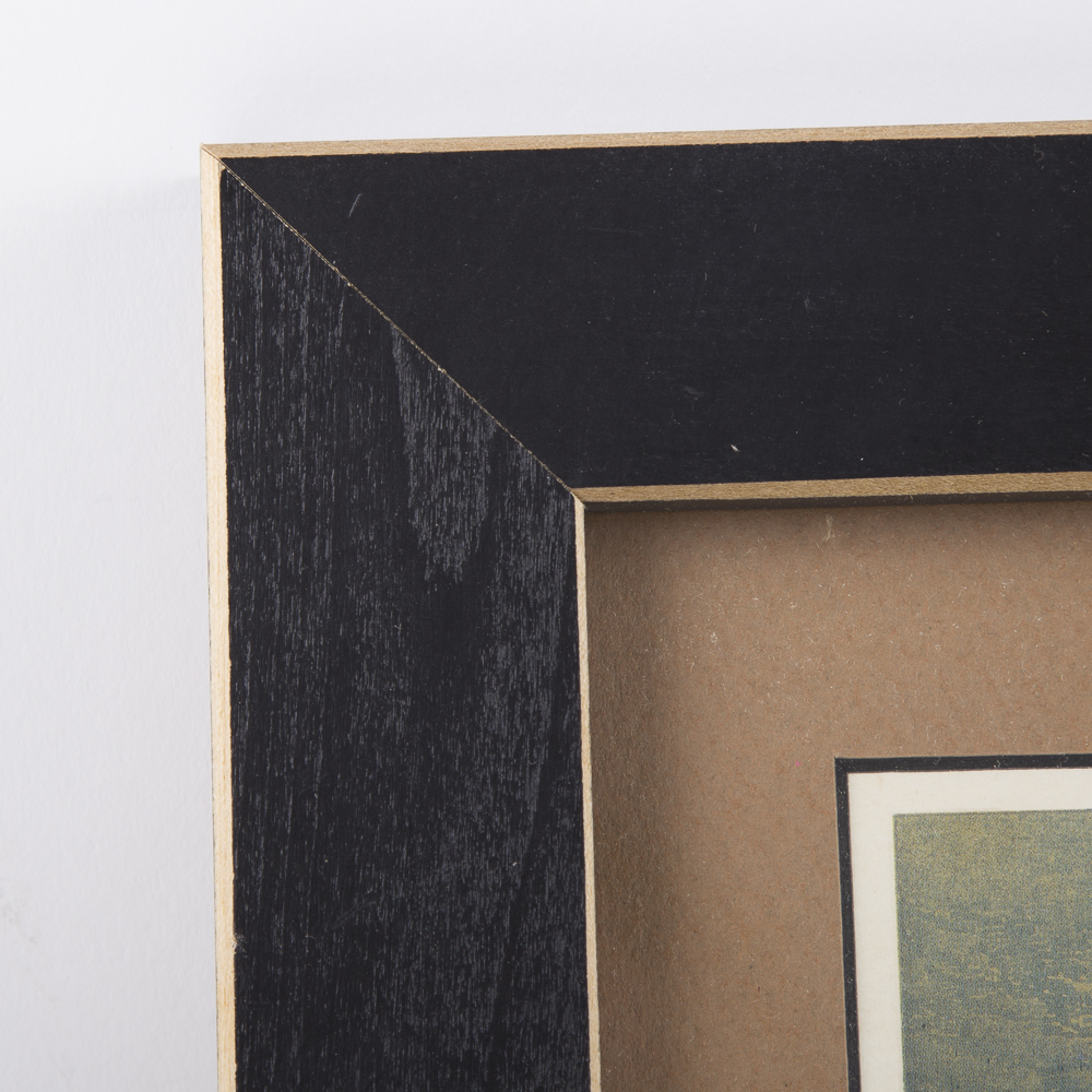 After J.W. Ludlow Offset Lithographs of Poultry